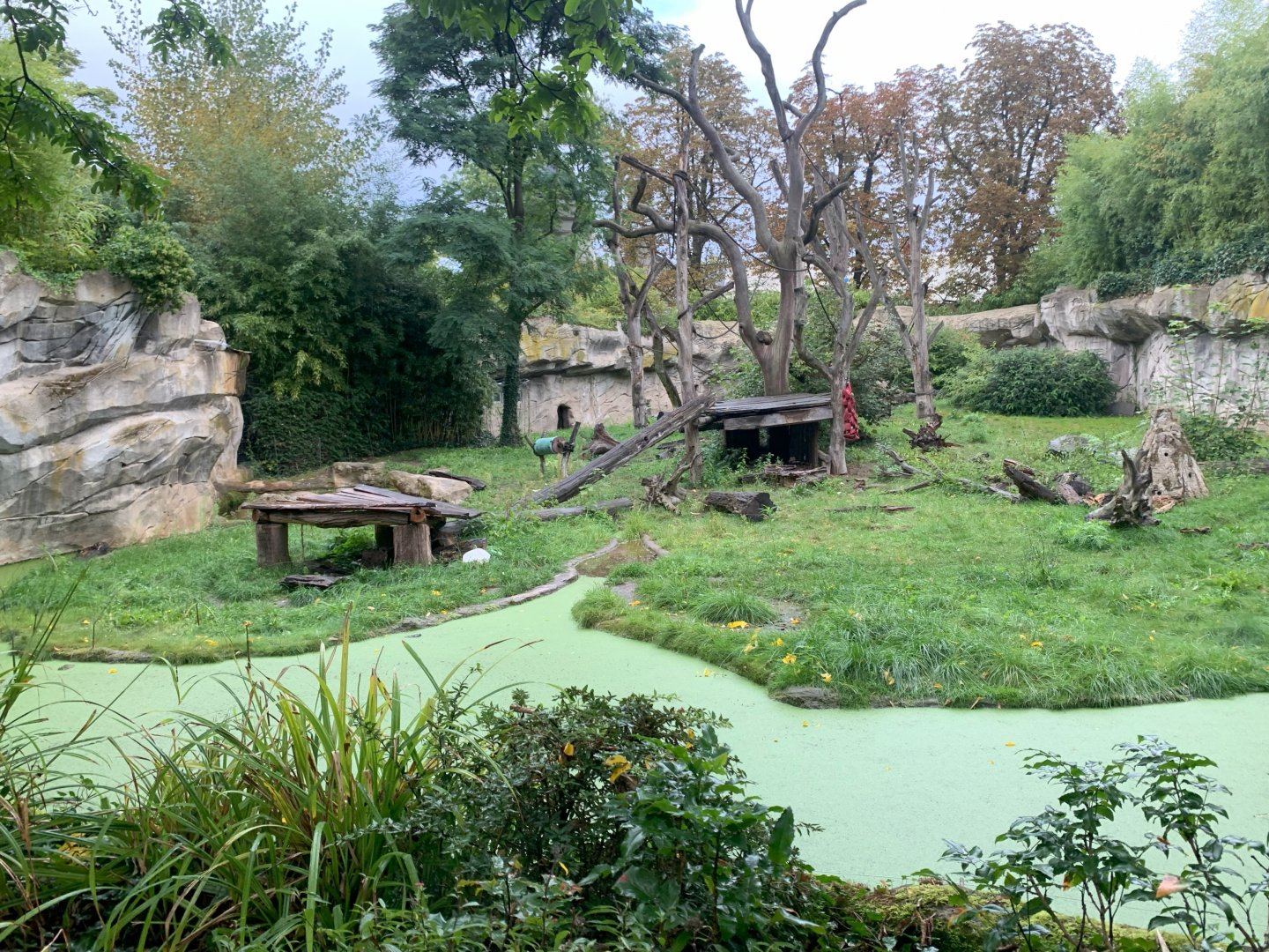 1st Sloth Bear enclosure - Asia