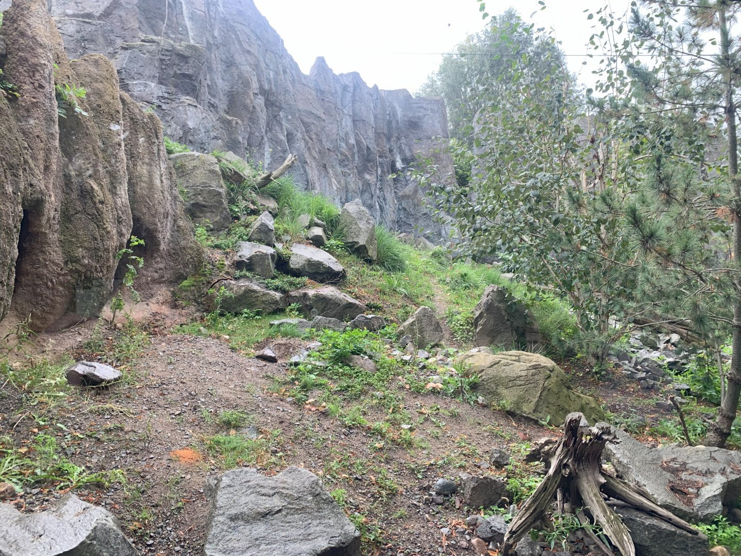 1st Snow Leopard enclosure - Himalayas