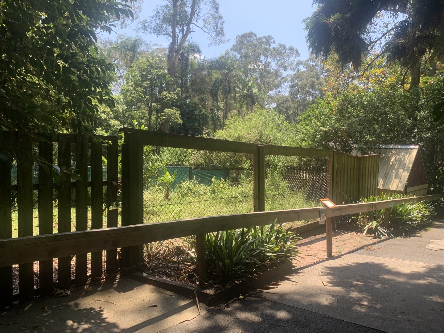 1st Southern Cassowary exhibit