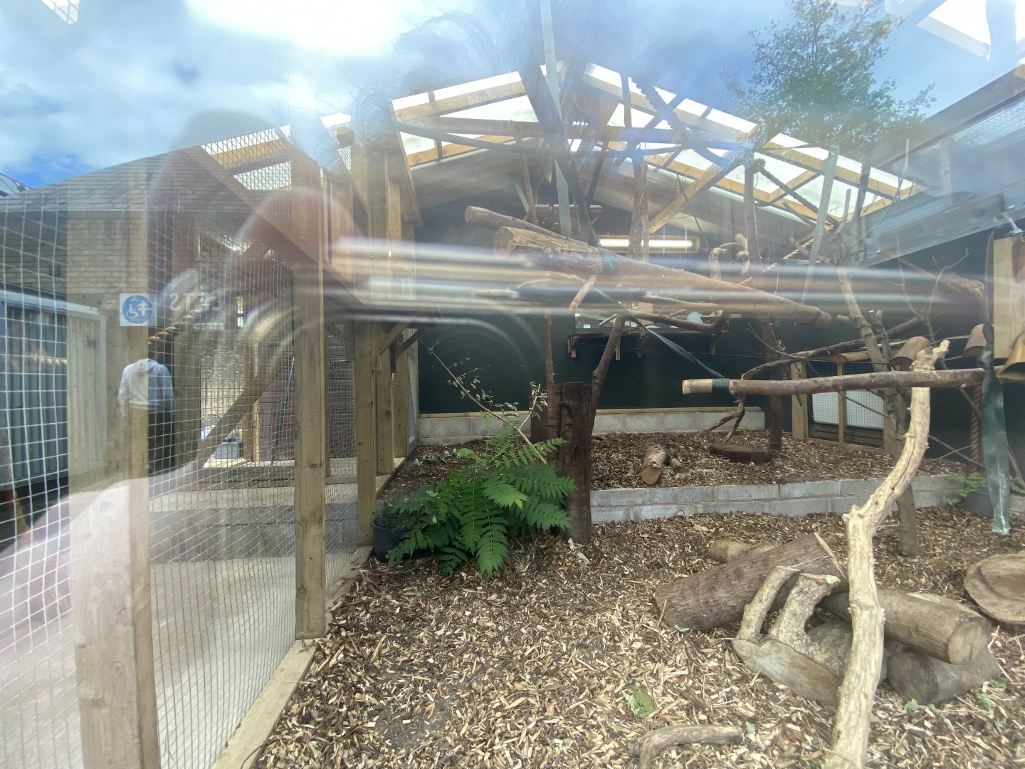 1st view into indoor howler monkey enclosure