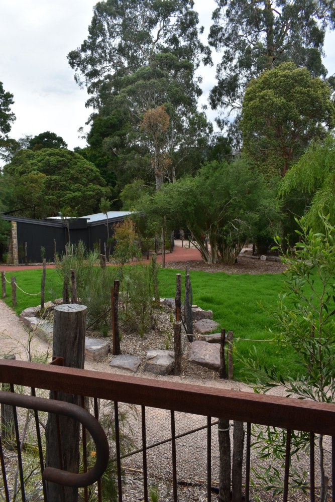 1st View: Kangaroo Country