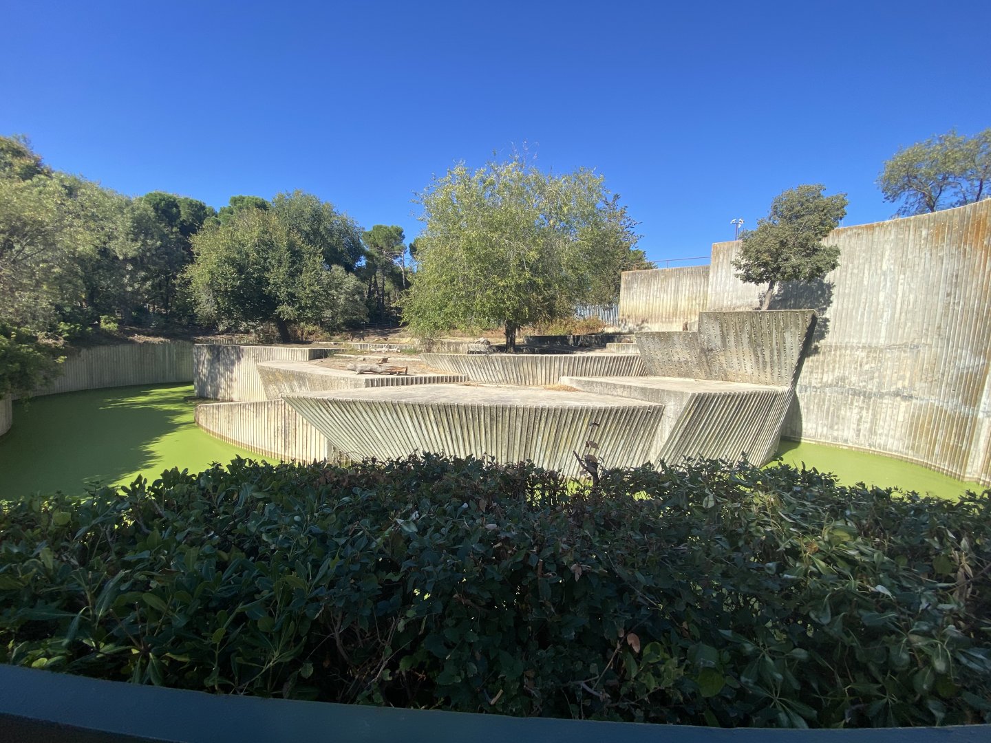 1st view of Asiatic lion enclosure