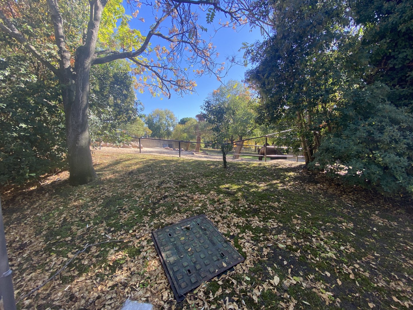 1st view of Bactrian camel enclosure
