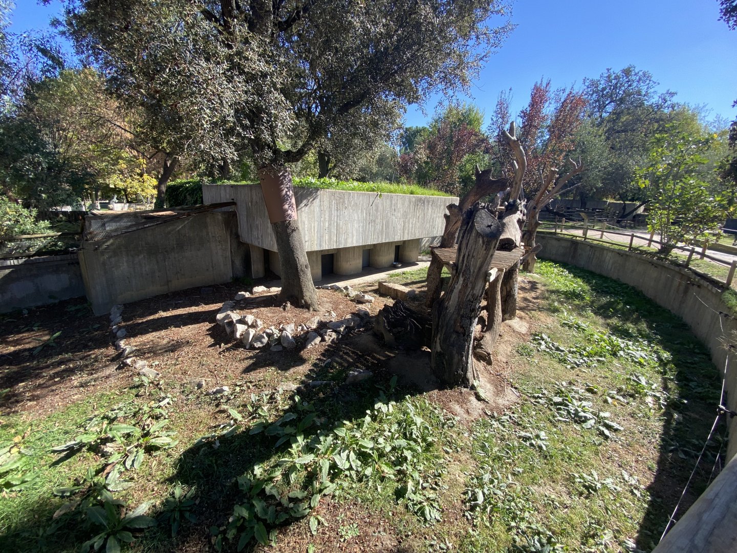 1st view of binturong enclosure