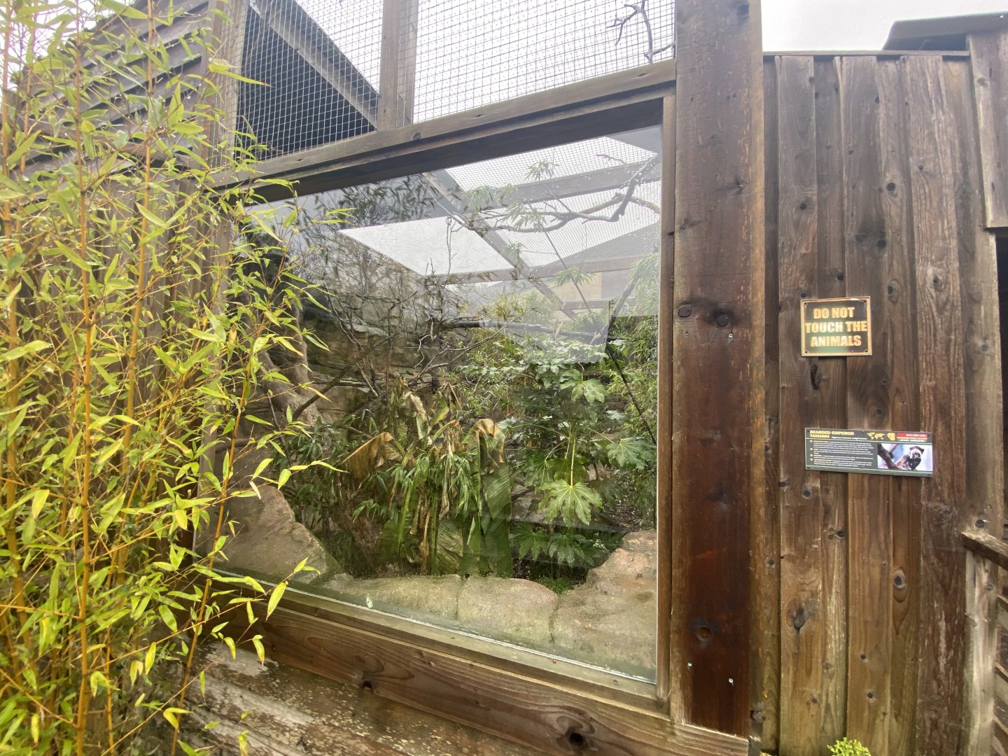 1st view of emperor tamarin enclosure