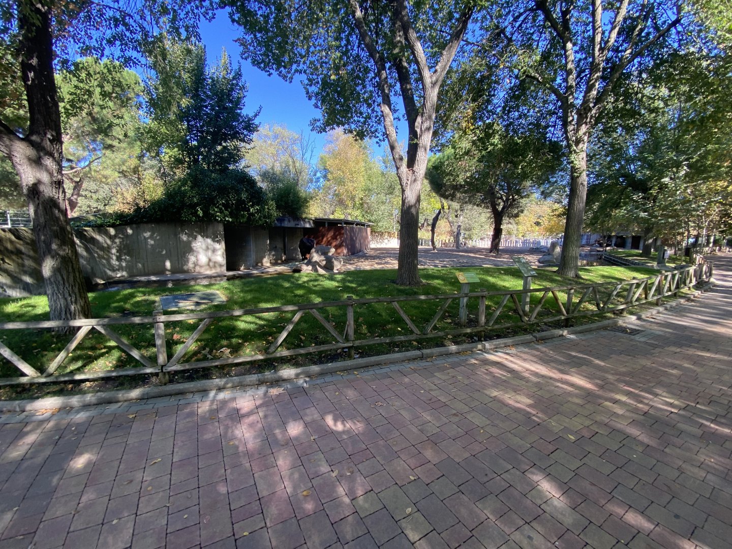 1st view of European bison enclosure