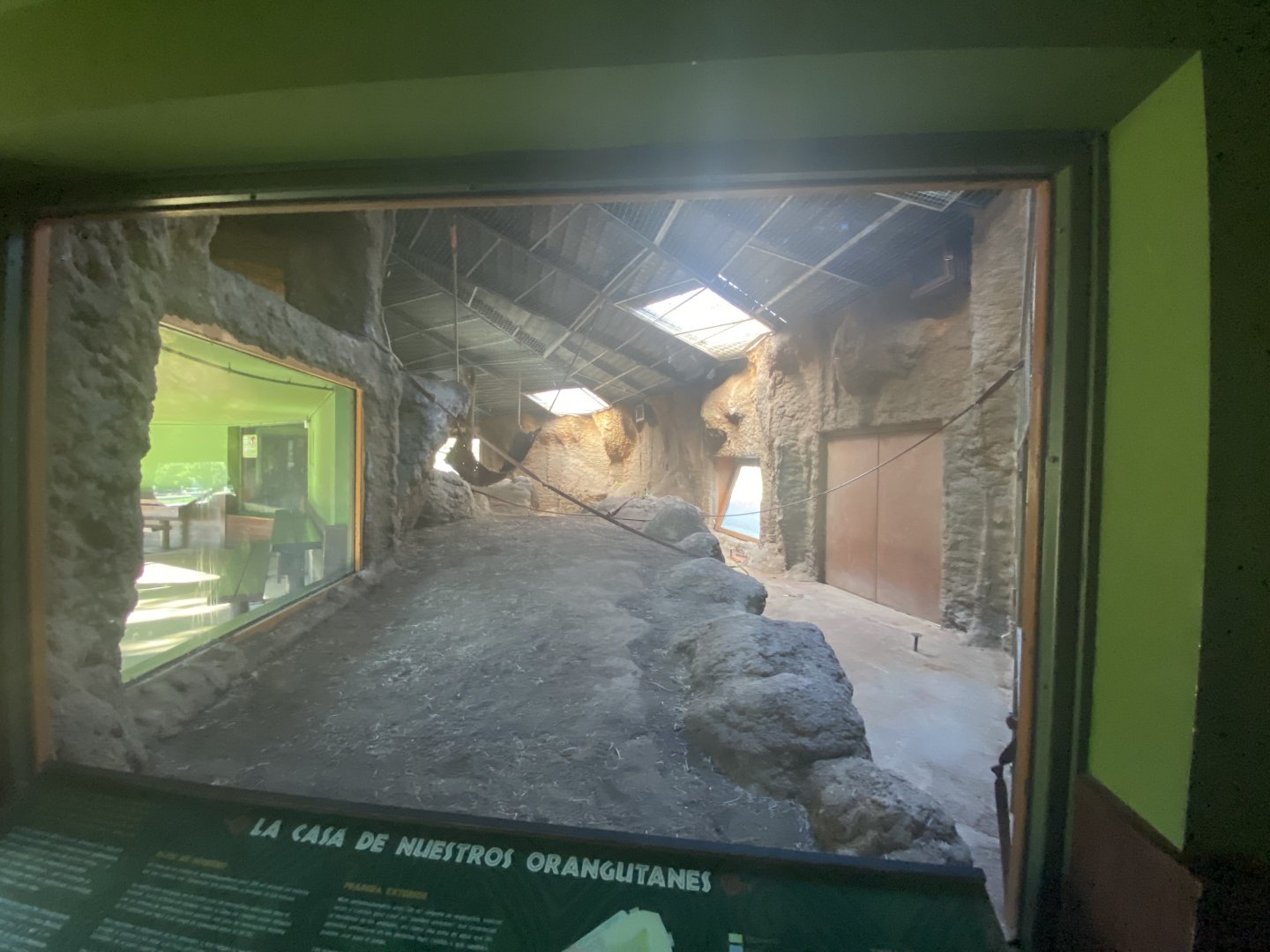 1st view of indoor Bornean orangutan enclosure