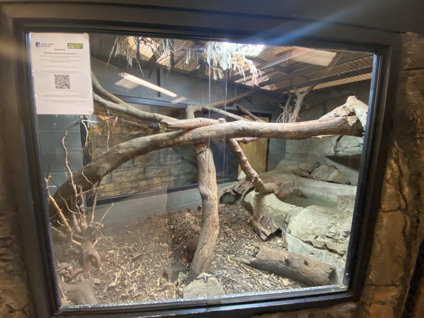 1st view of lace monitor exhibit
