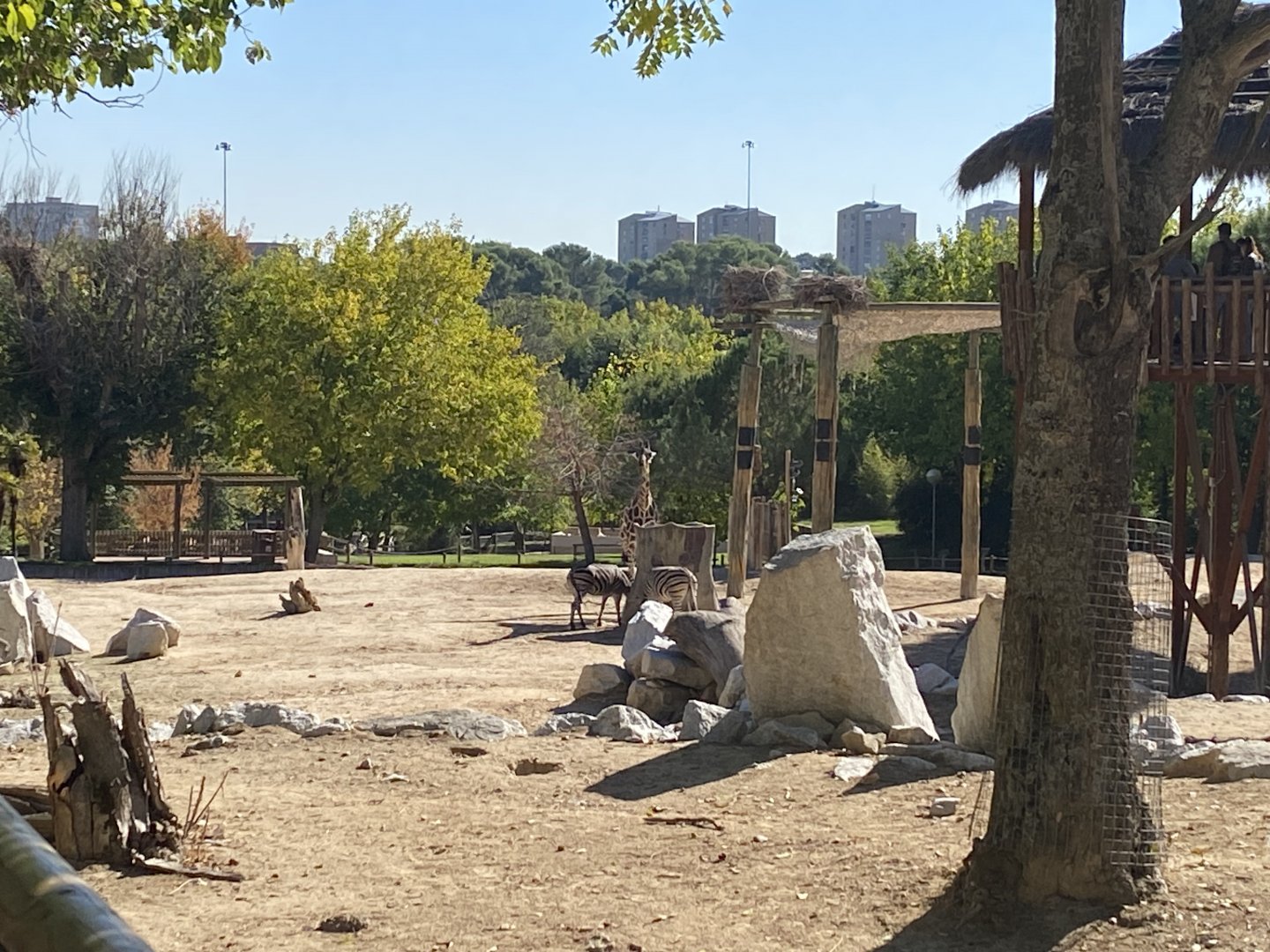 1st view of mixed African enclosure