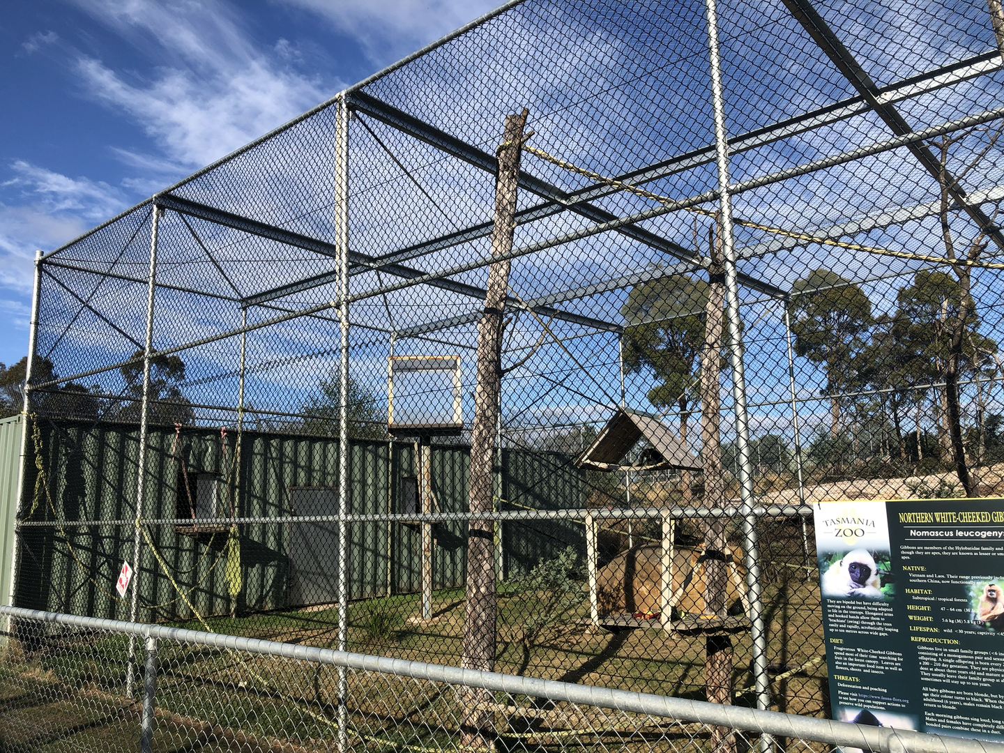 1st White-Cheeked Gibbon enclosure-Left hand side