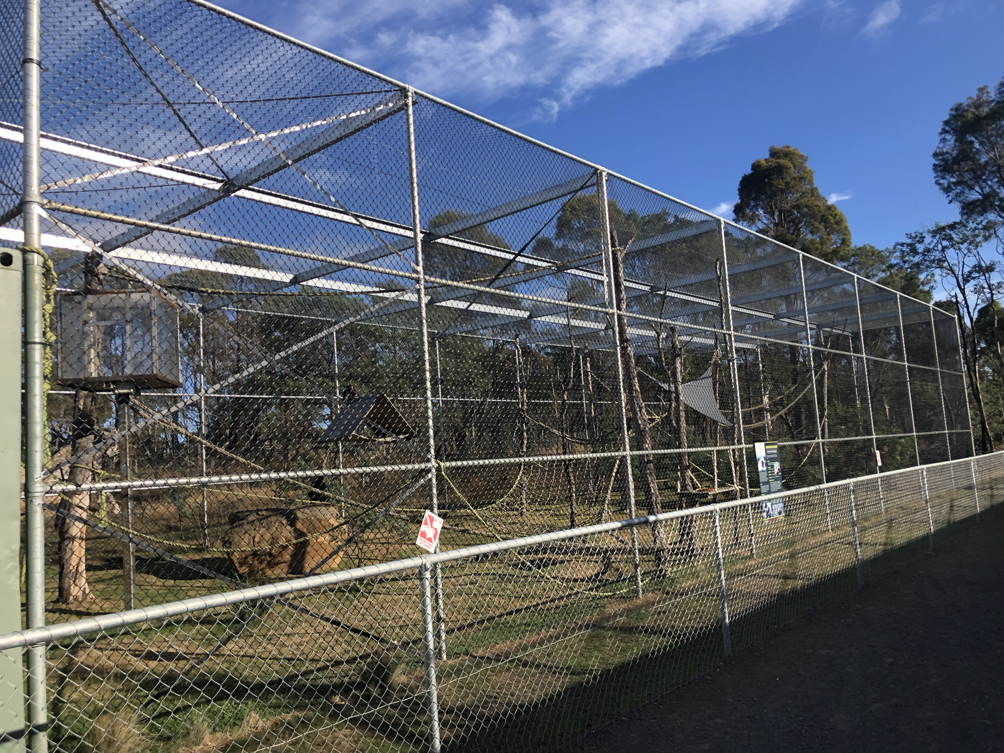1st White-Cheeked Gibbon enclosure