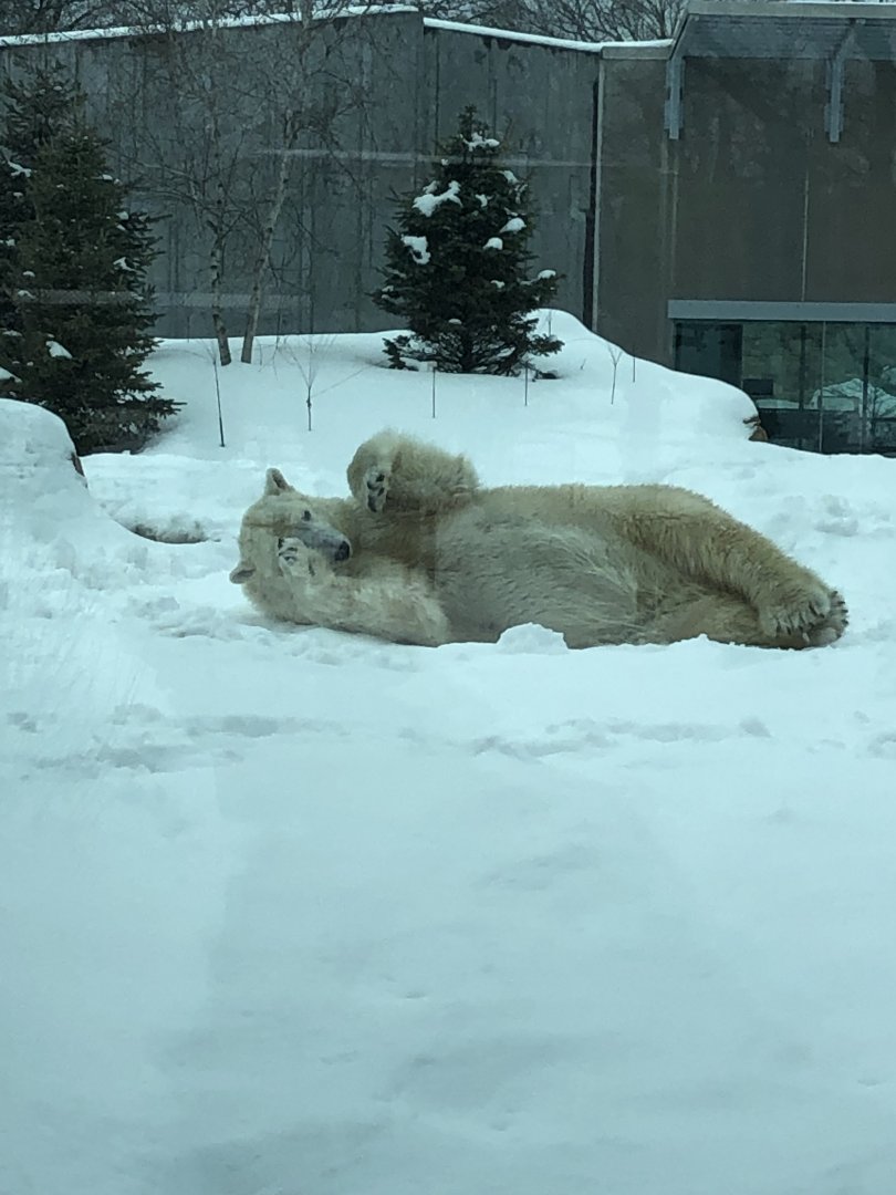 2/14/2019 - Can’t Get Comfy