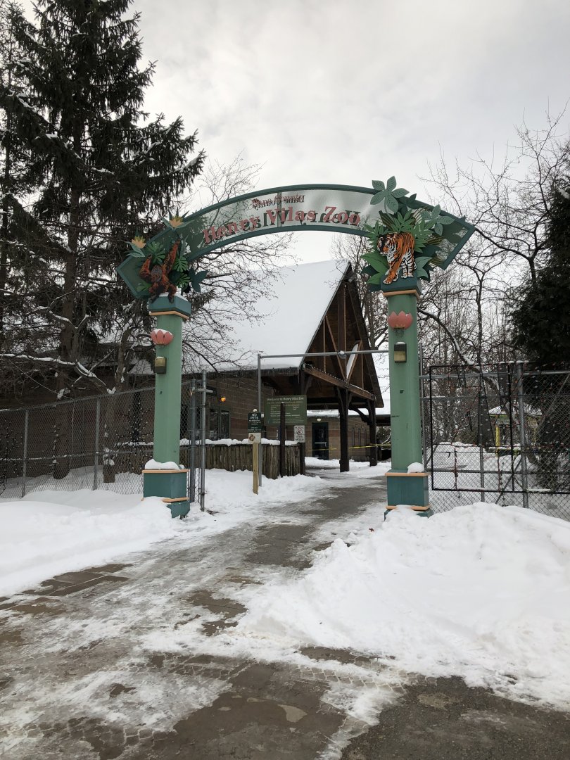 2/14/2019 - Entry Gate