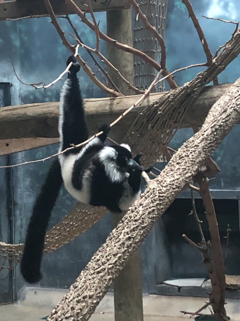 2/14/2019 - Flexible