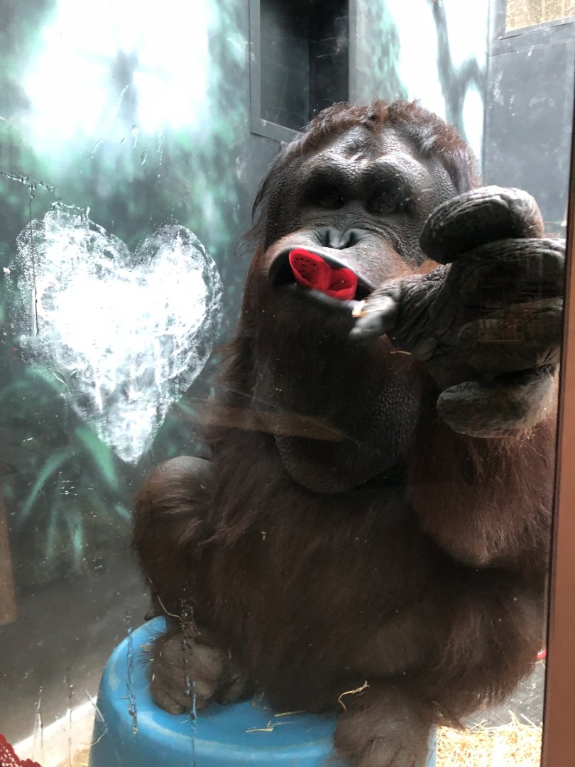 2/14/2019 - Mouthful