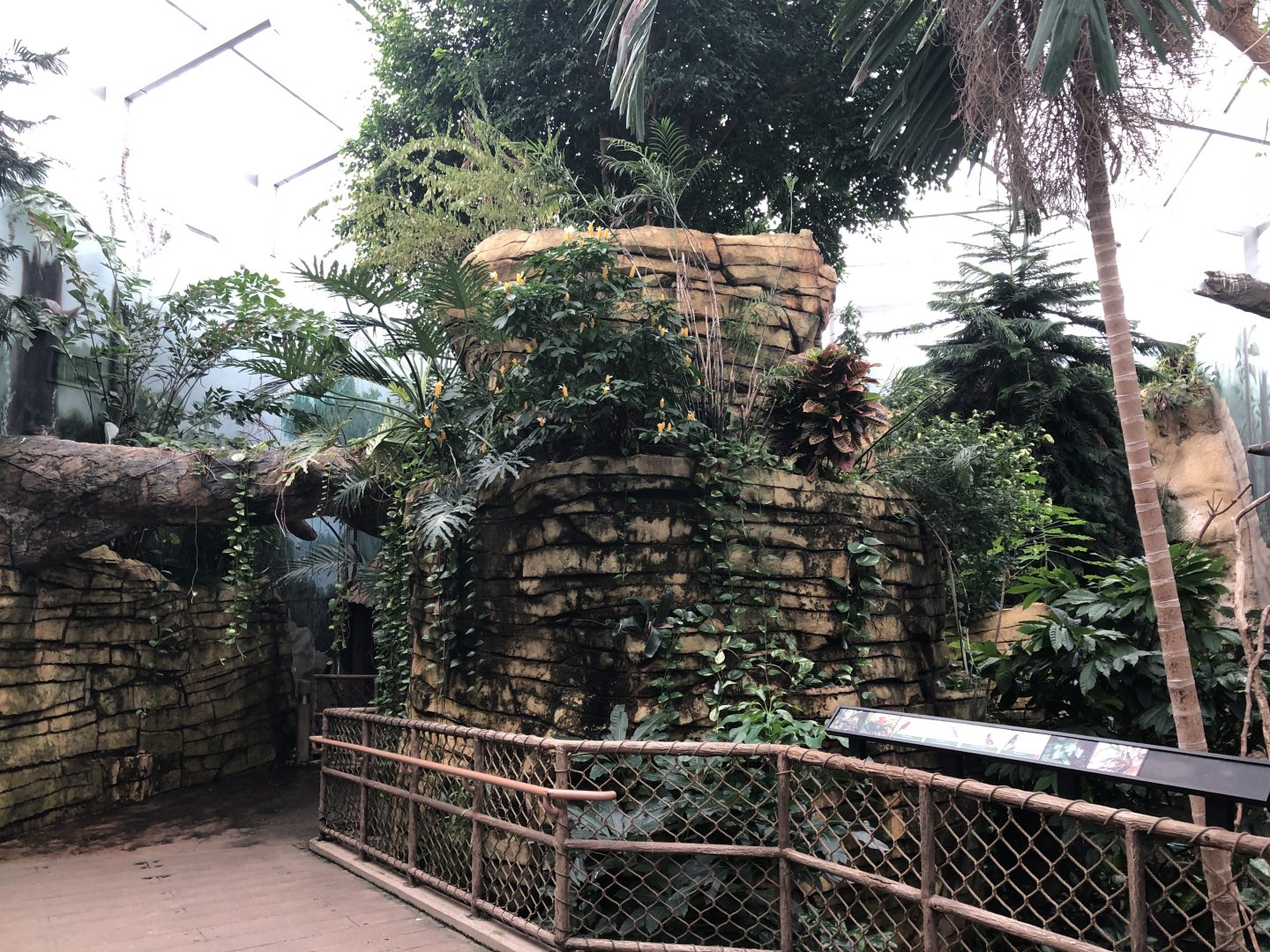 2/14/2019 - Rainforest Aviary General View