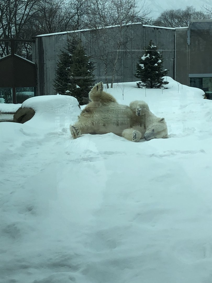 2/14/2019 - Snow Glorious Snow!