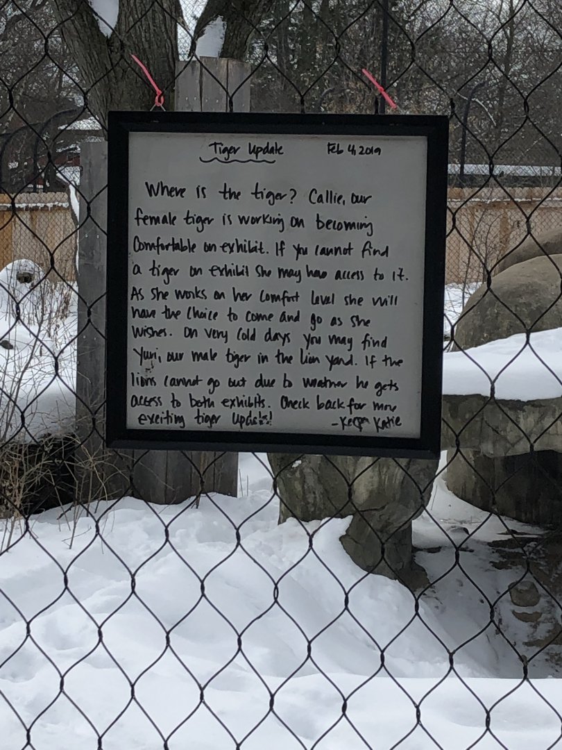 2/14/2019 - Tiger Update