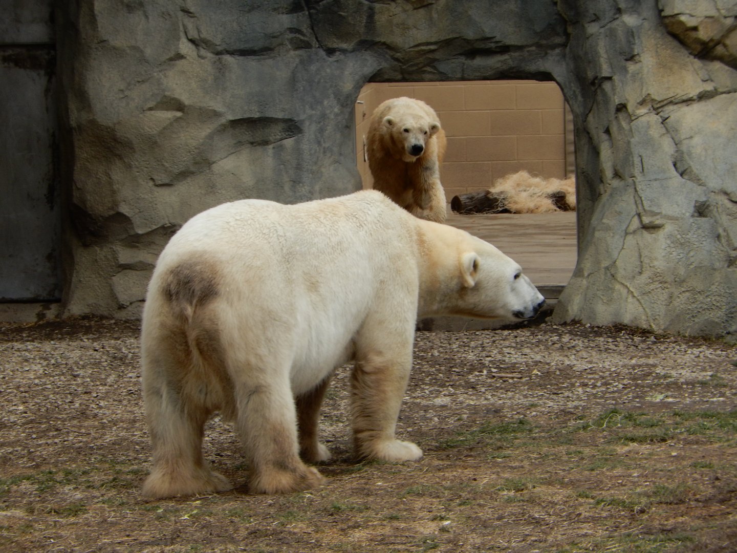 2/24/2018 - Eyeing Up Hudson