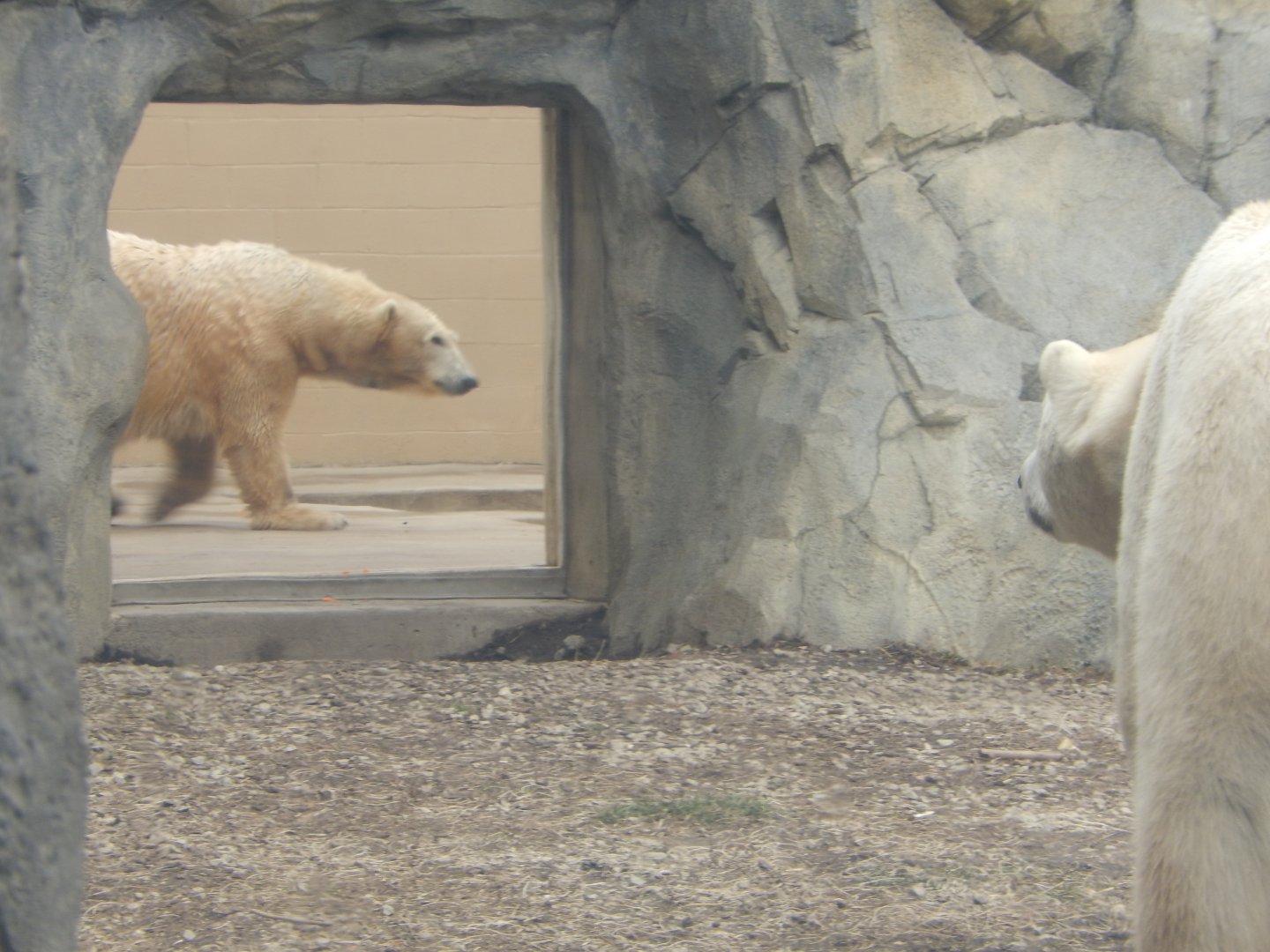 2/24/2018 - Eyeing Up Nan