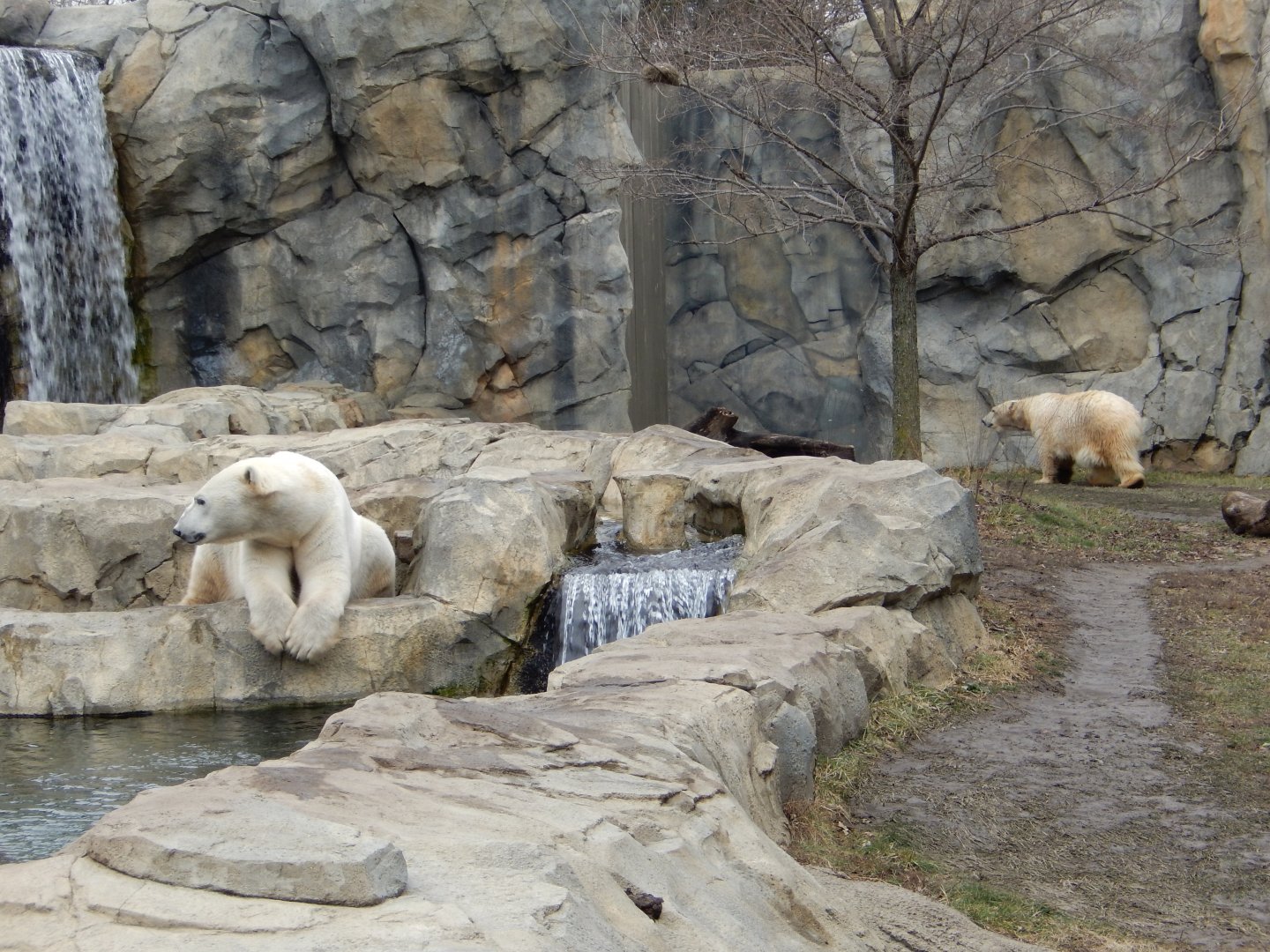 2/24/2018 - Hudson and Nan