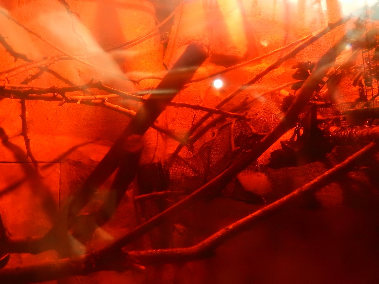 2/24/2018 - Loris Exhibit