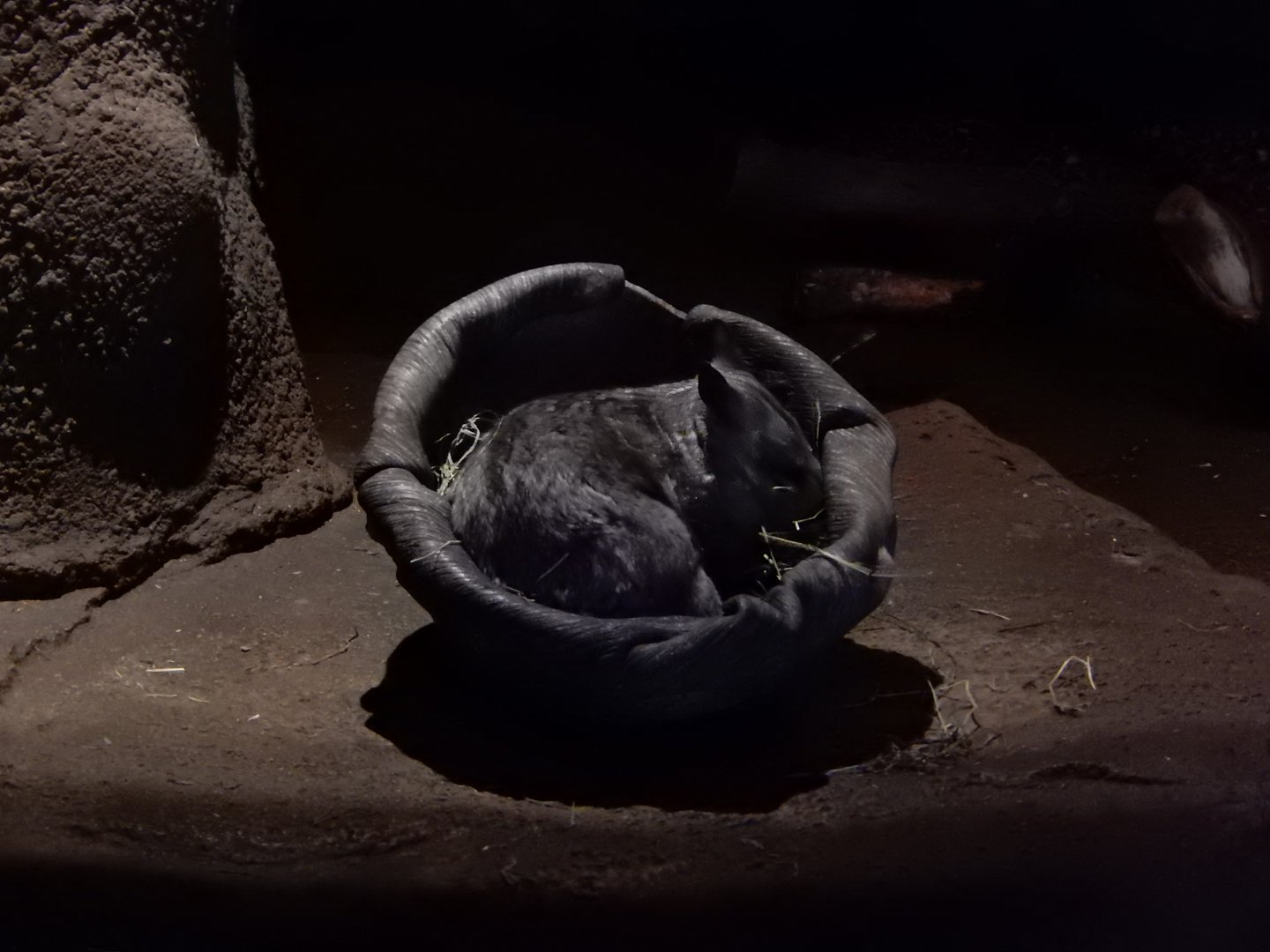 2/24/2018 - Nice and Cozy!