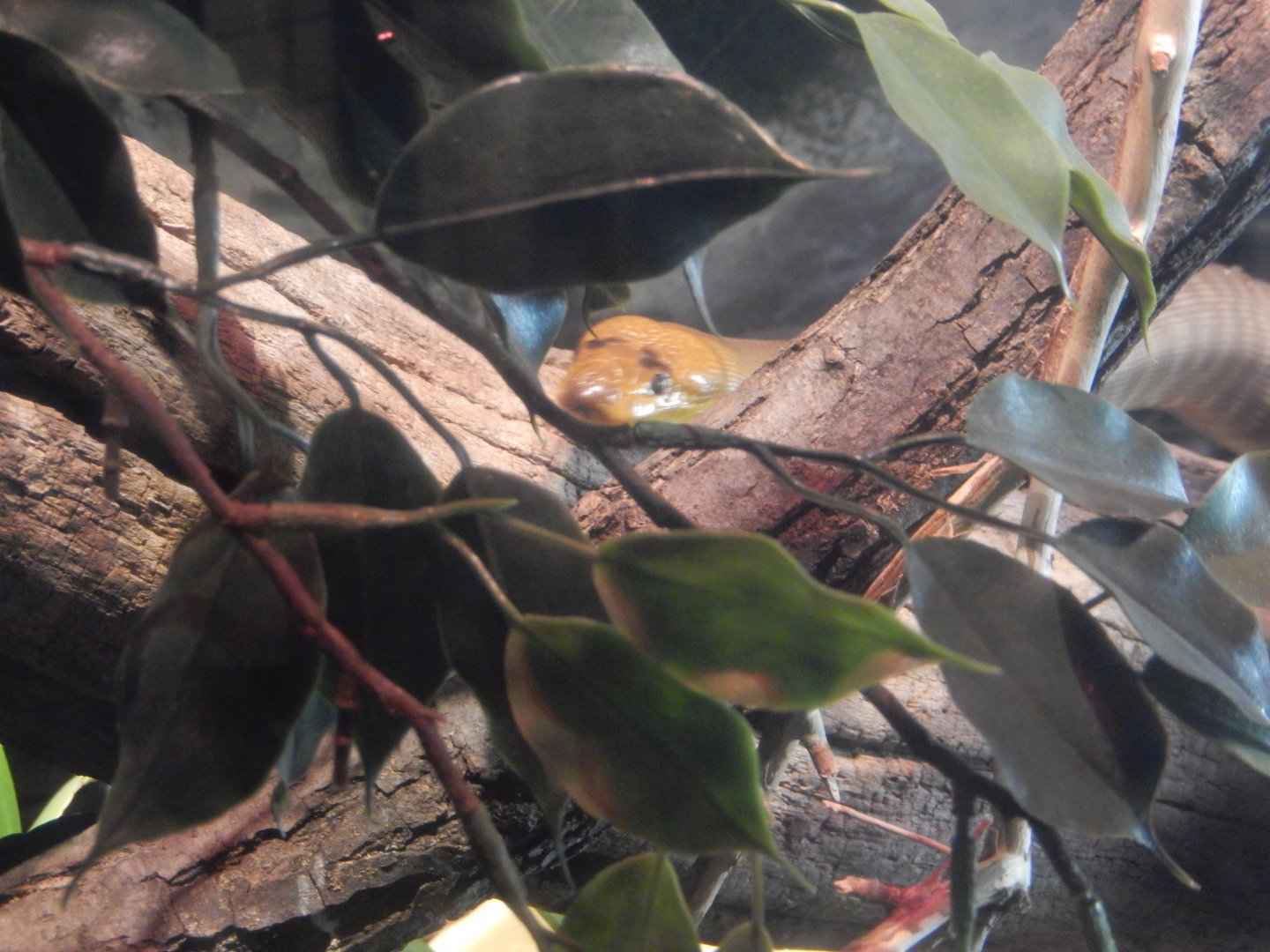 2/24/2018 - Peek-a-Boo!