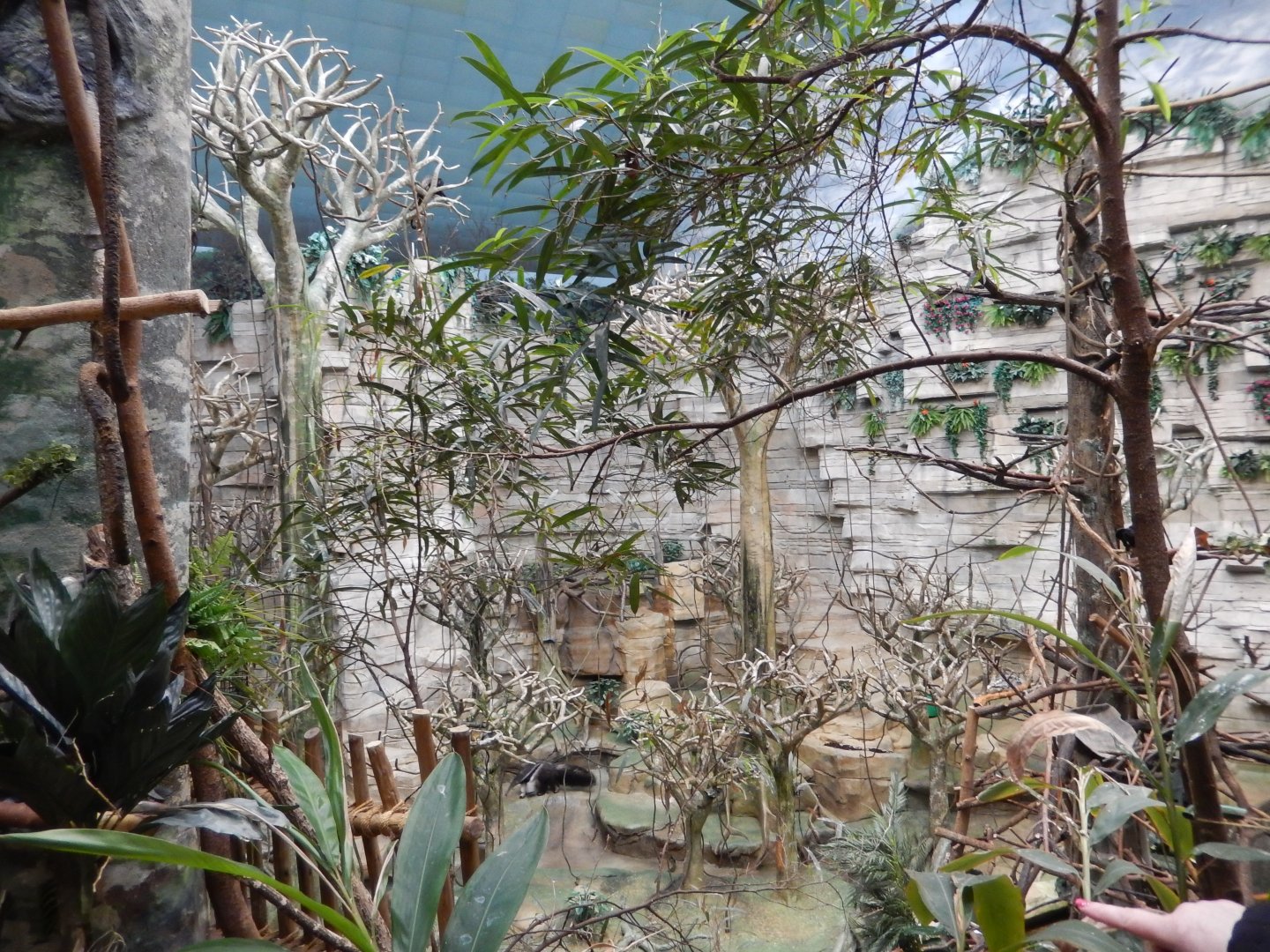 2/24/2018 - Tropic World - South American Room