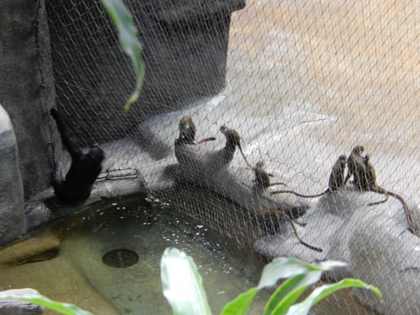 2/24/2018 - What's Up, Neighbors?