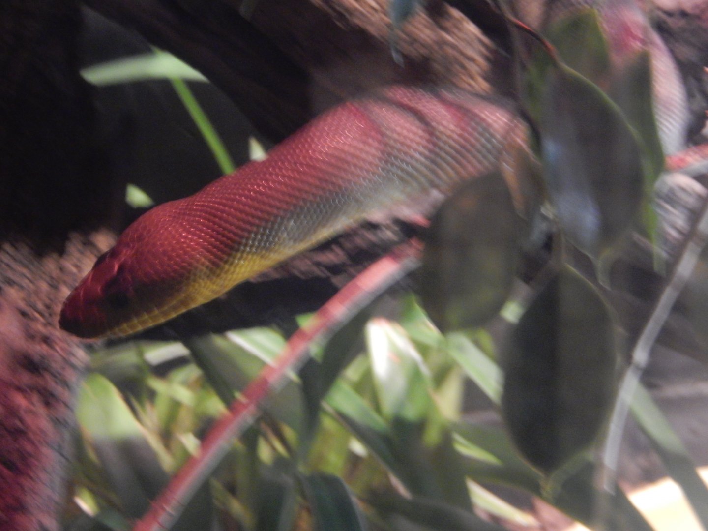 2/24/2018 - Woma on the Move