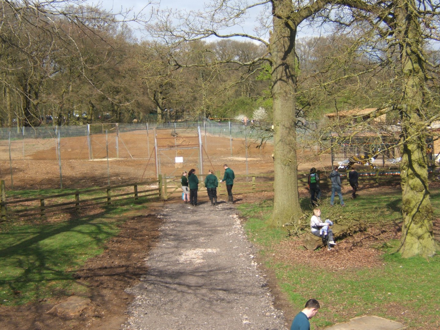 2/4/2017 New Hunting Dogs enclosure