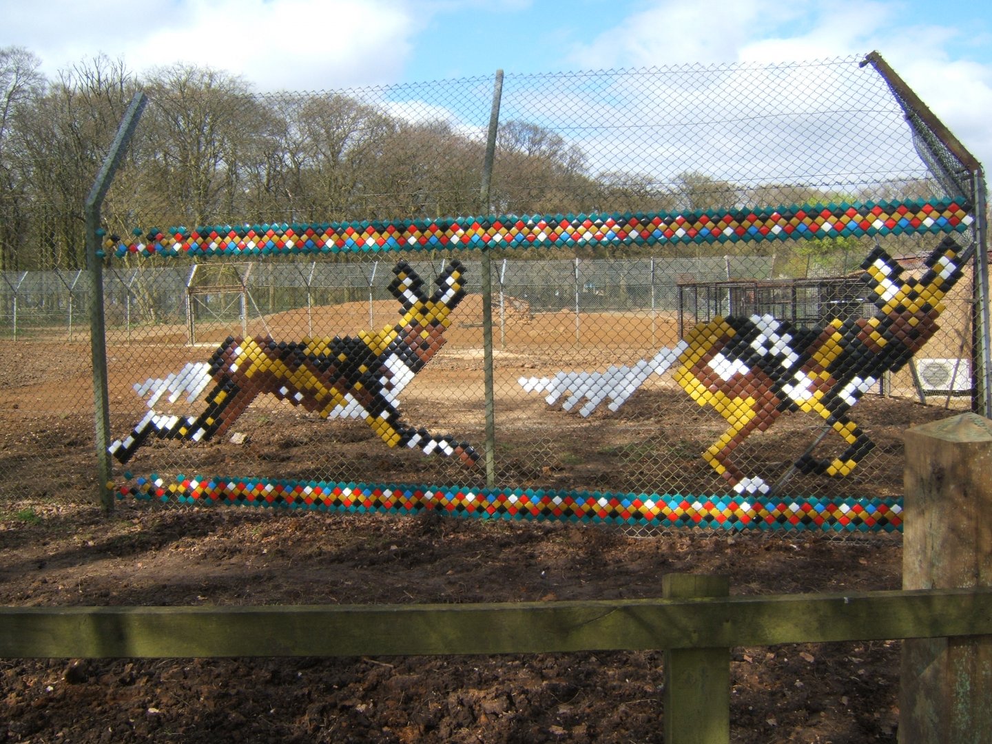 2/4/2017 New Hunting Dogs enclosure