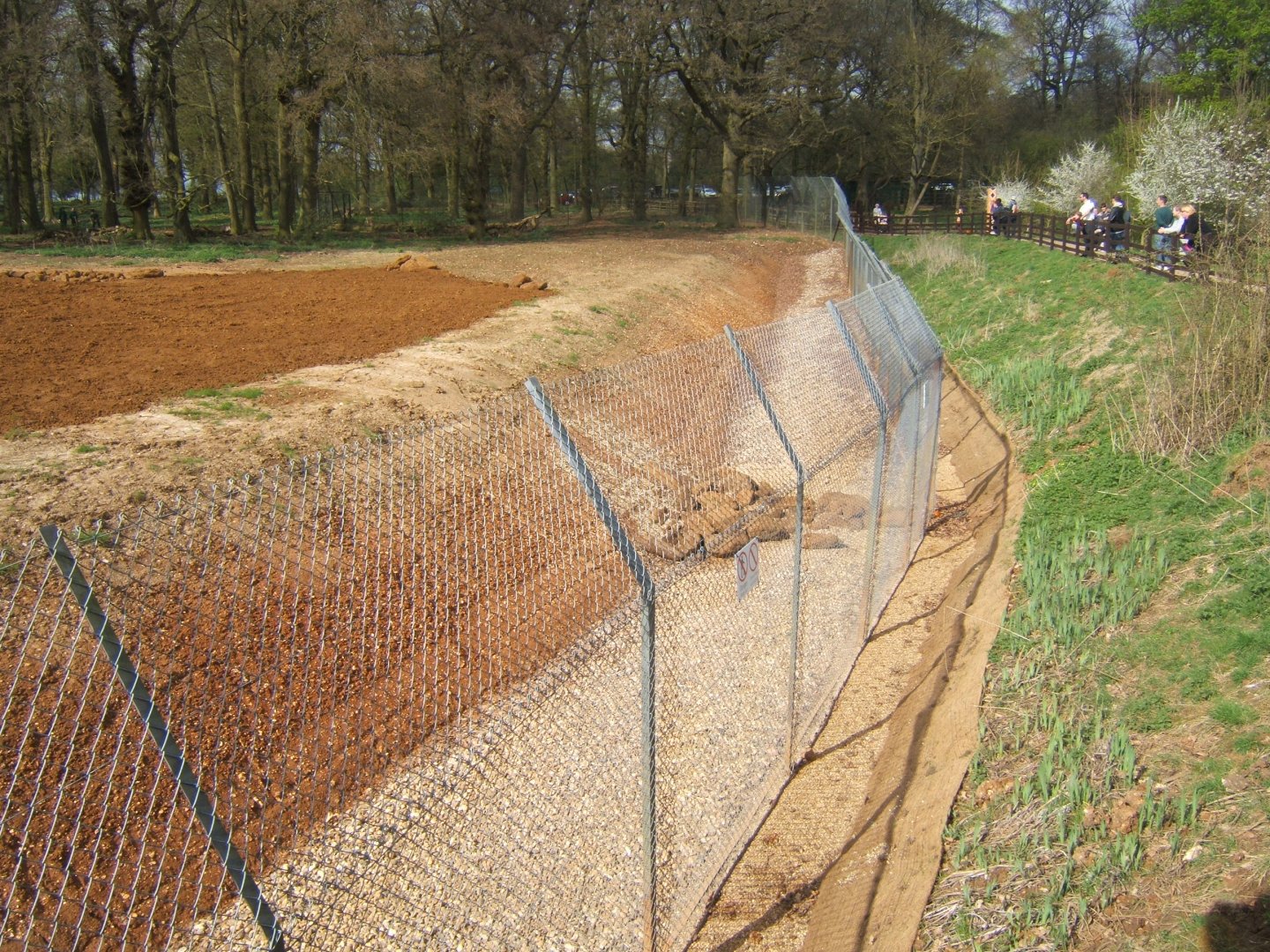 2/4/2017 New Hunting Dogs enclosure