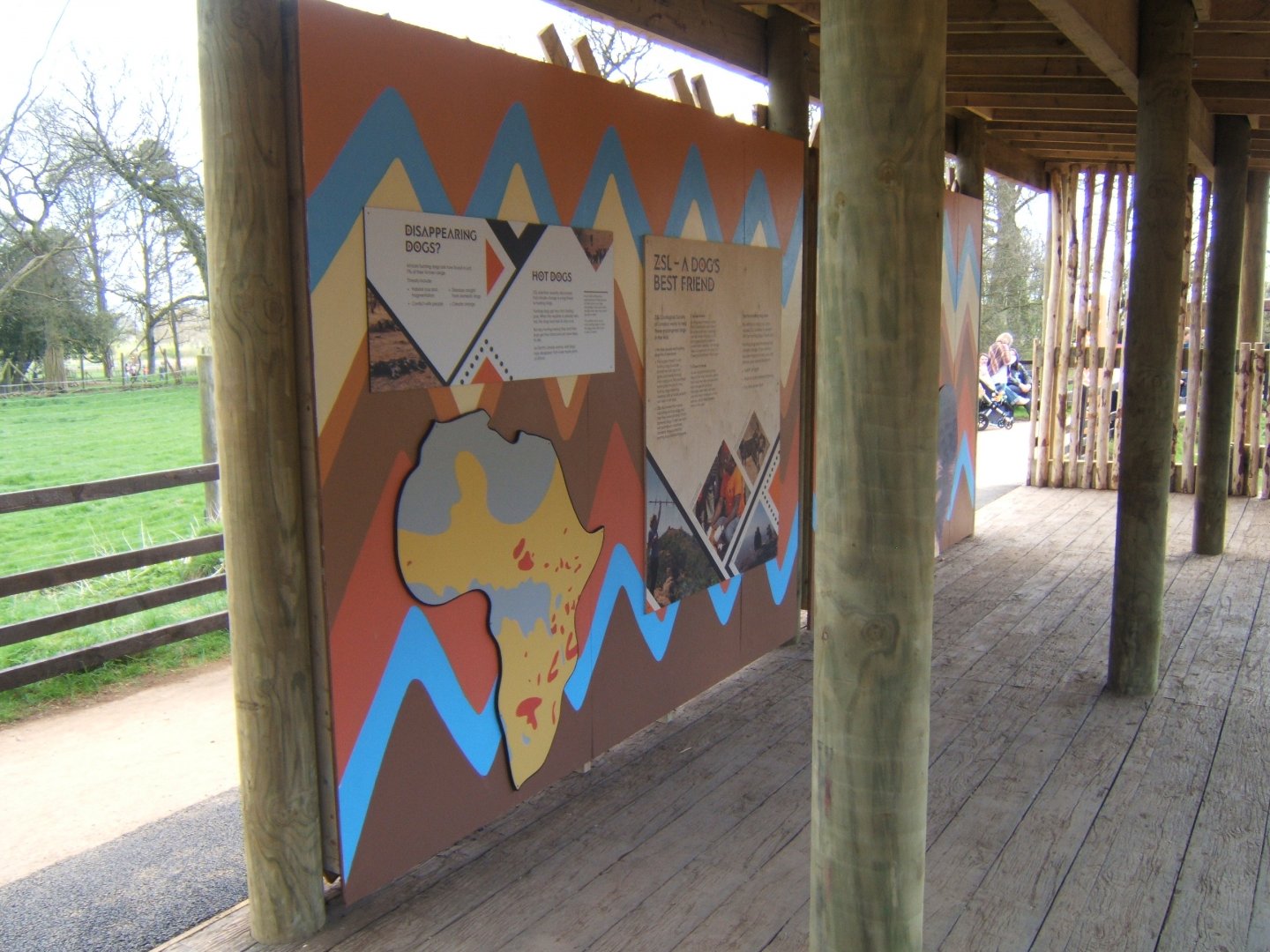 2/4/2017 New Hunting Dogs enclosure