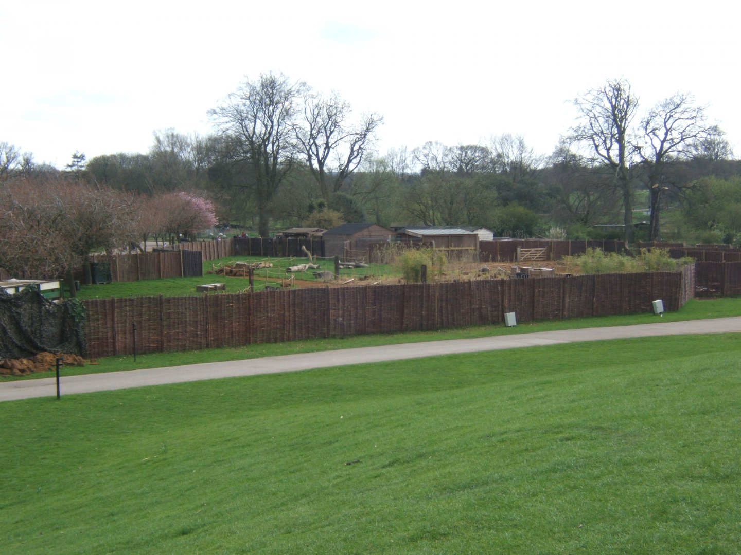 2/4/2017 view of former Dinosaurs