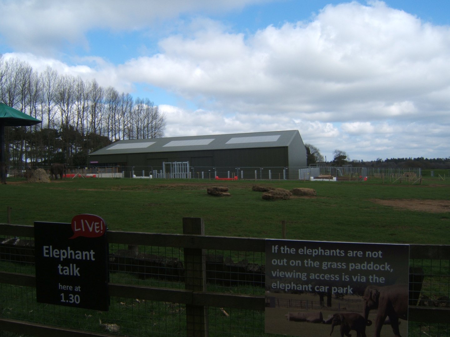 2/4/2017 View of new Elephant House Construction