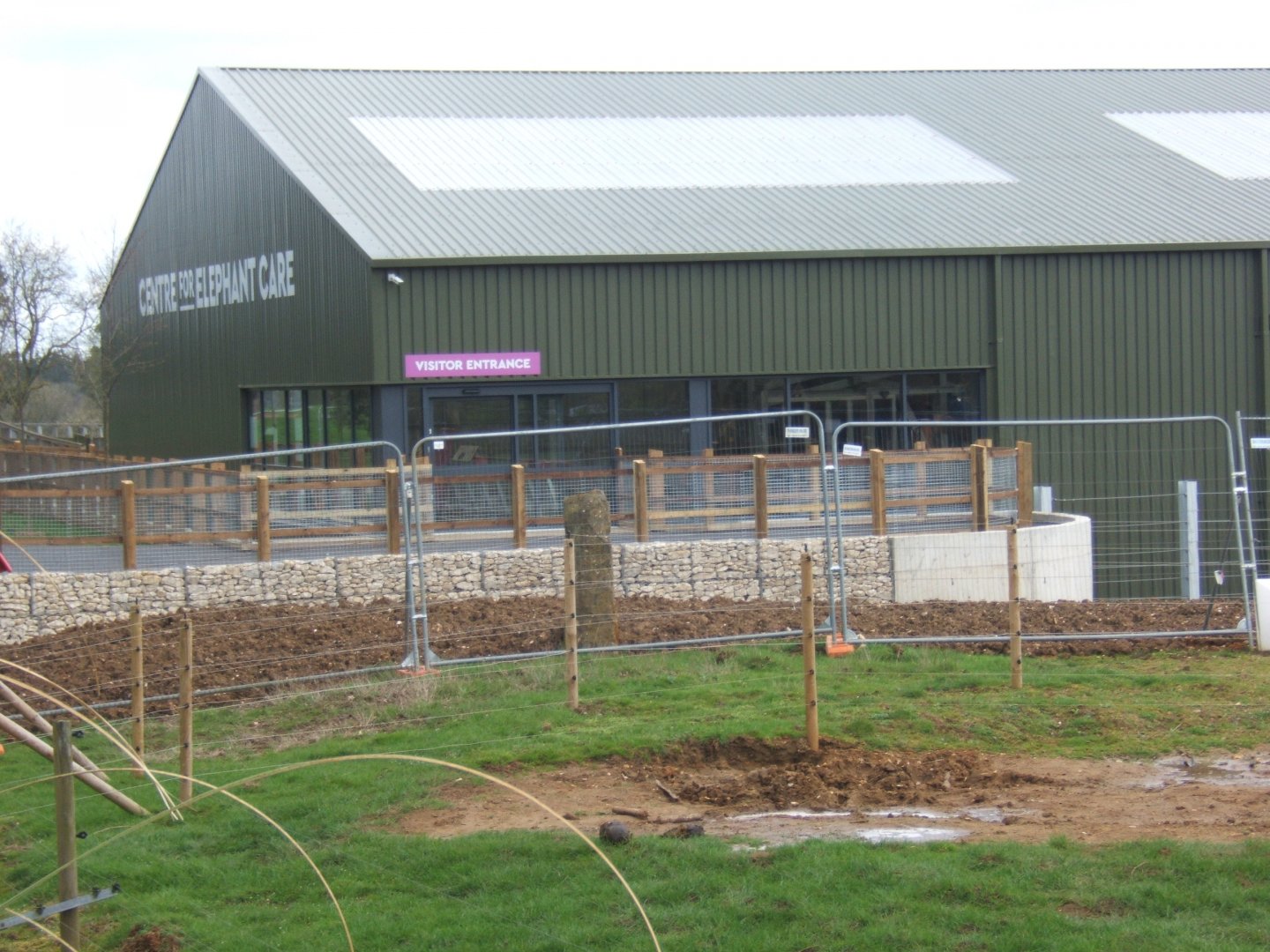2/4/2017 View of new Elephant House Construction