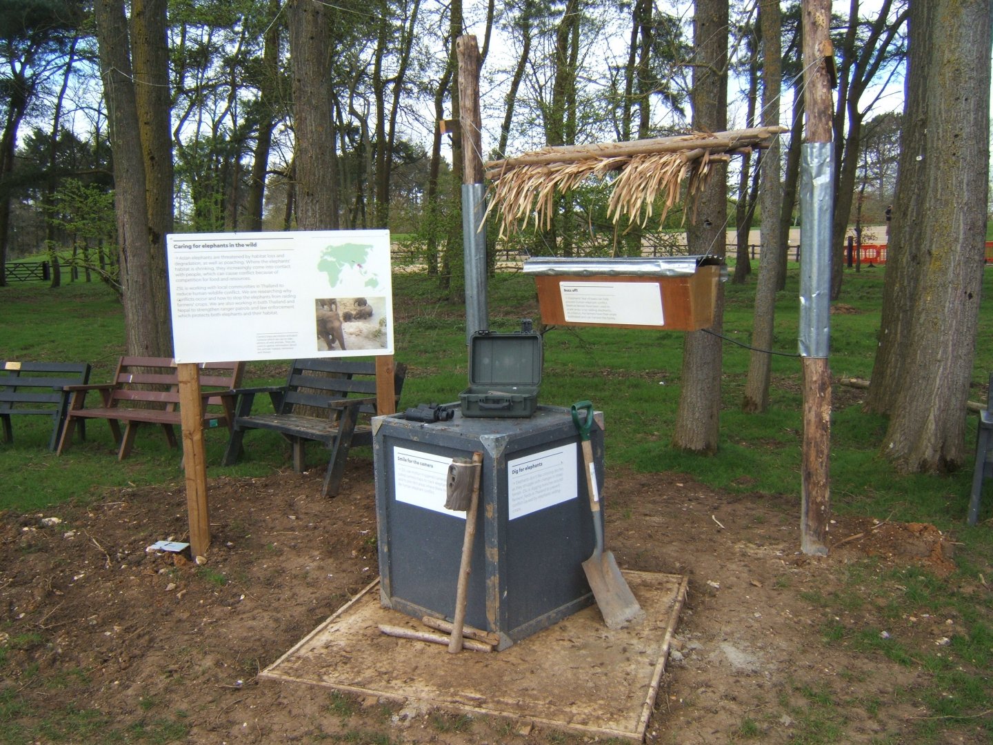2/4/2017 View of new Elephant House Construction