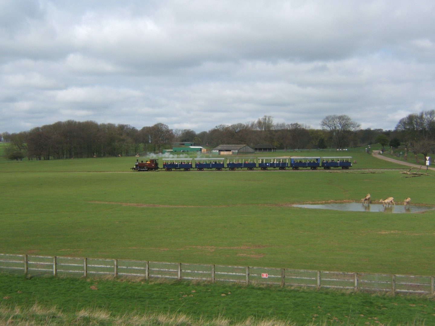 2/4/2017 View of Train in the Deer reserve