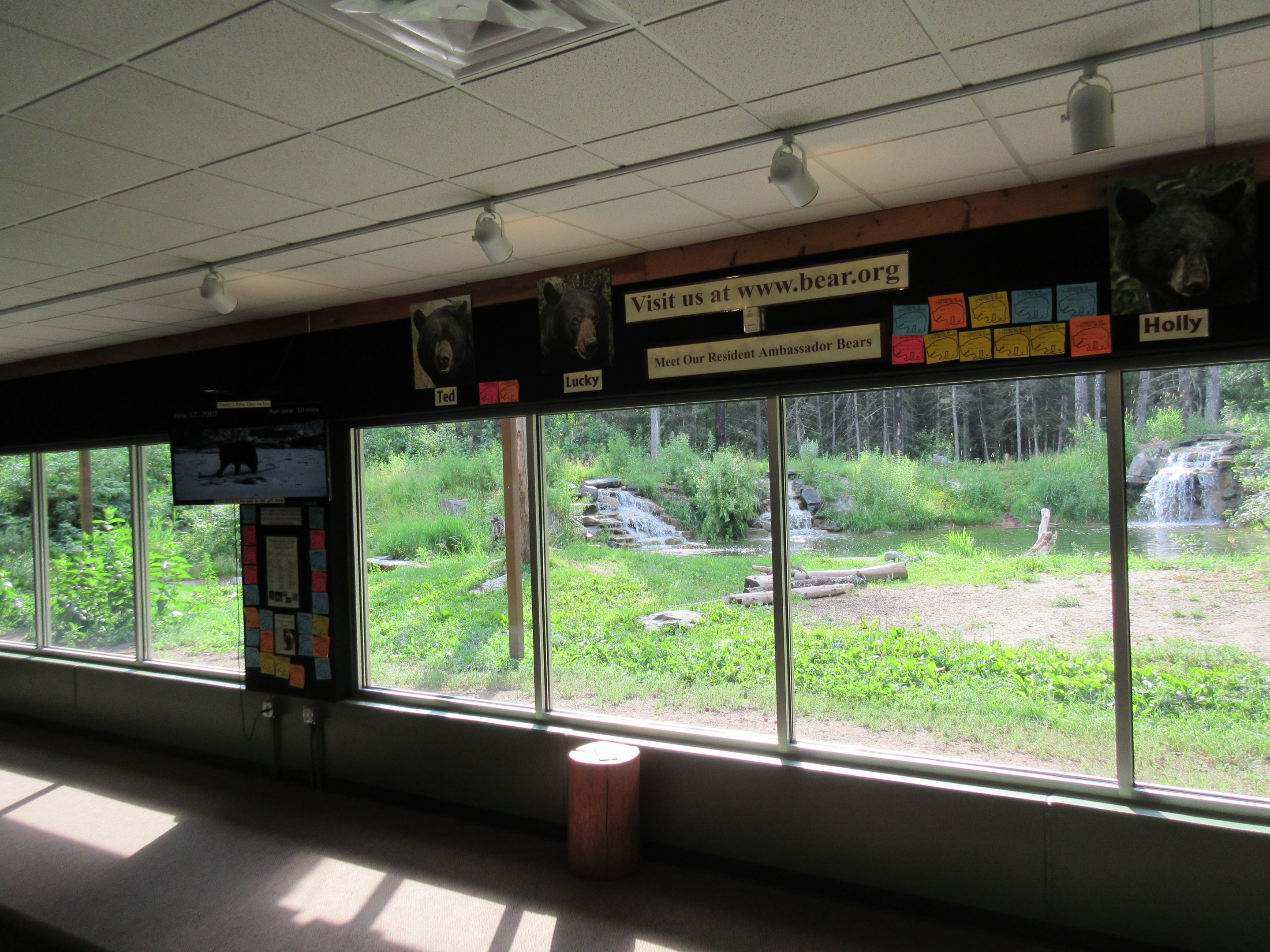 2.5 Acre American Black Bear Exhibit