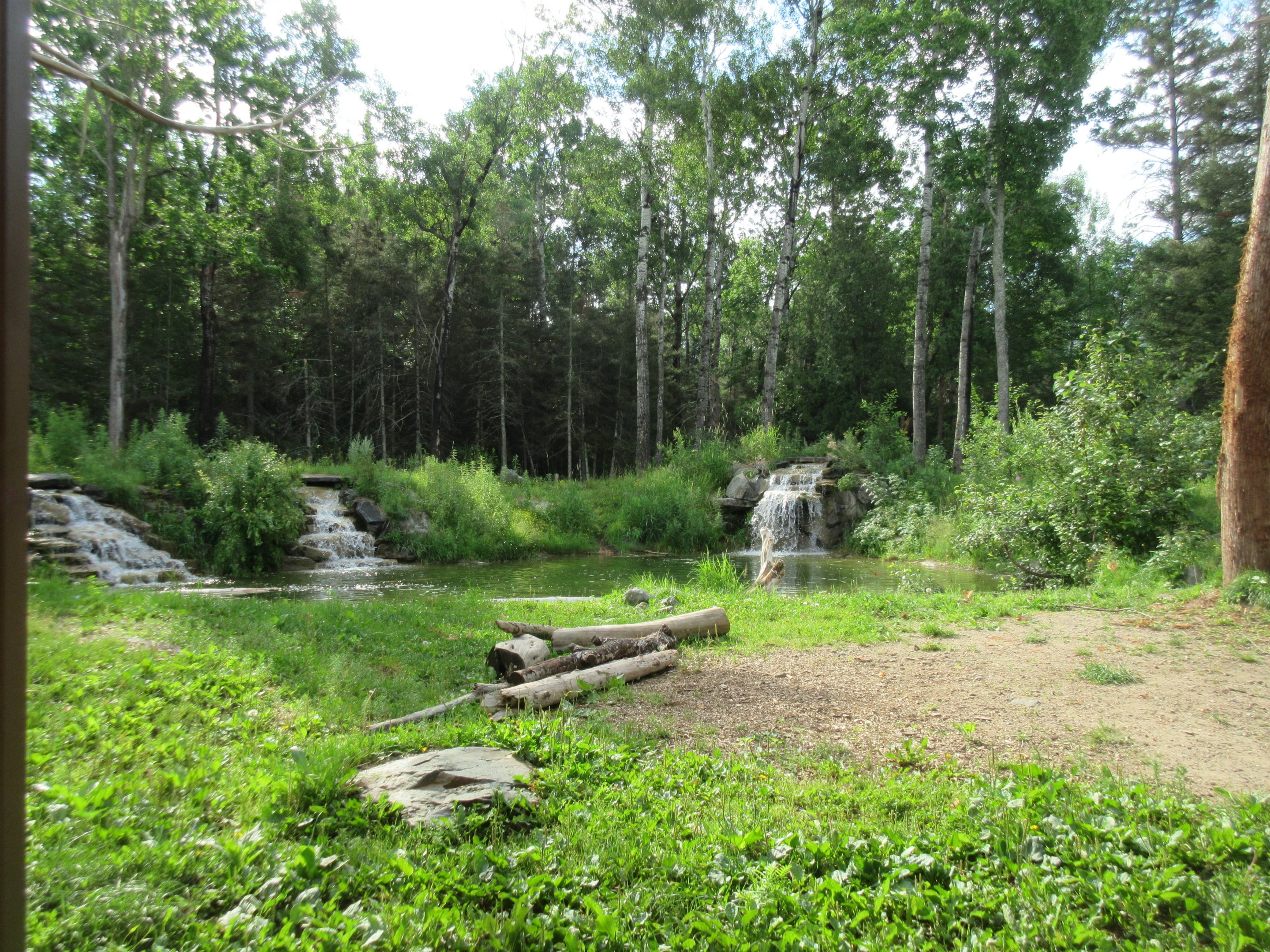 2.5 Acre American Black Bear Exhibit