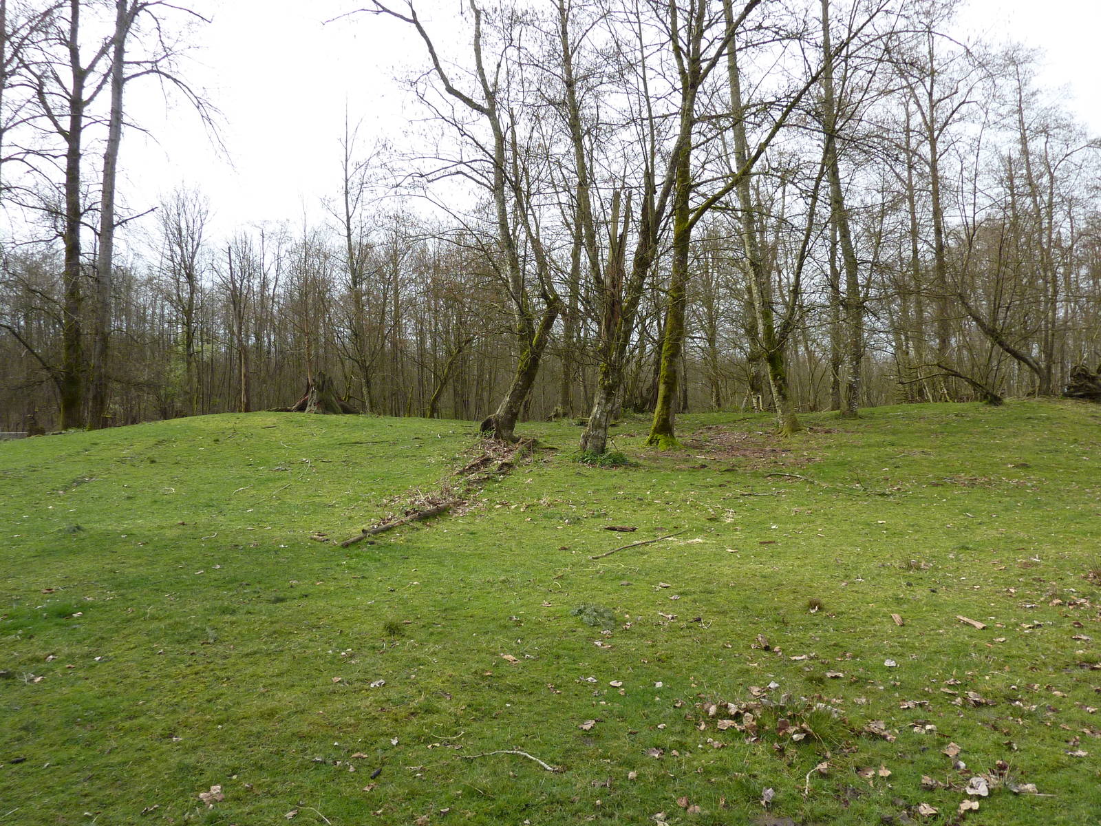 2.5 Acre Caribou Enclosure