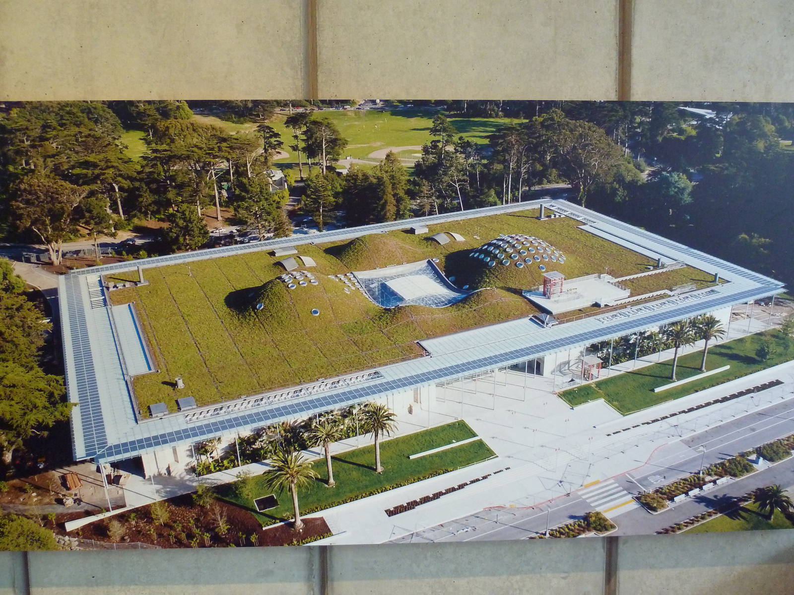 2.5 Acre Living Roof - Photo