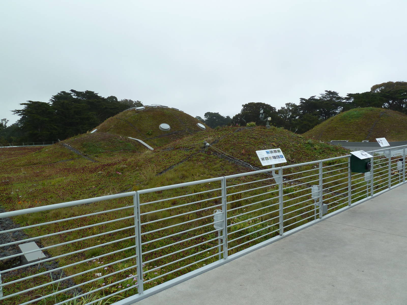 2.5 Acre Living Roof