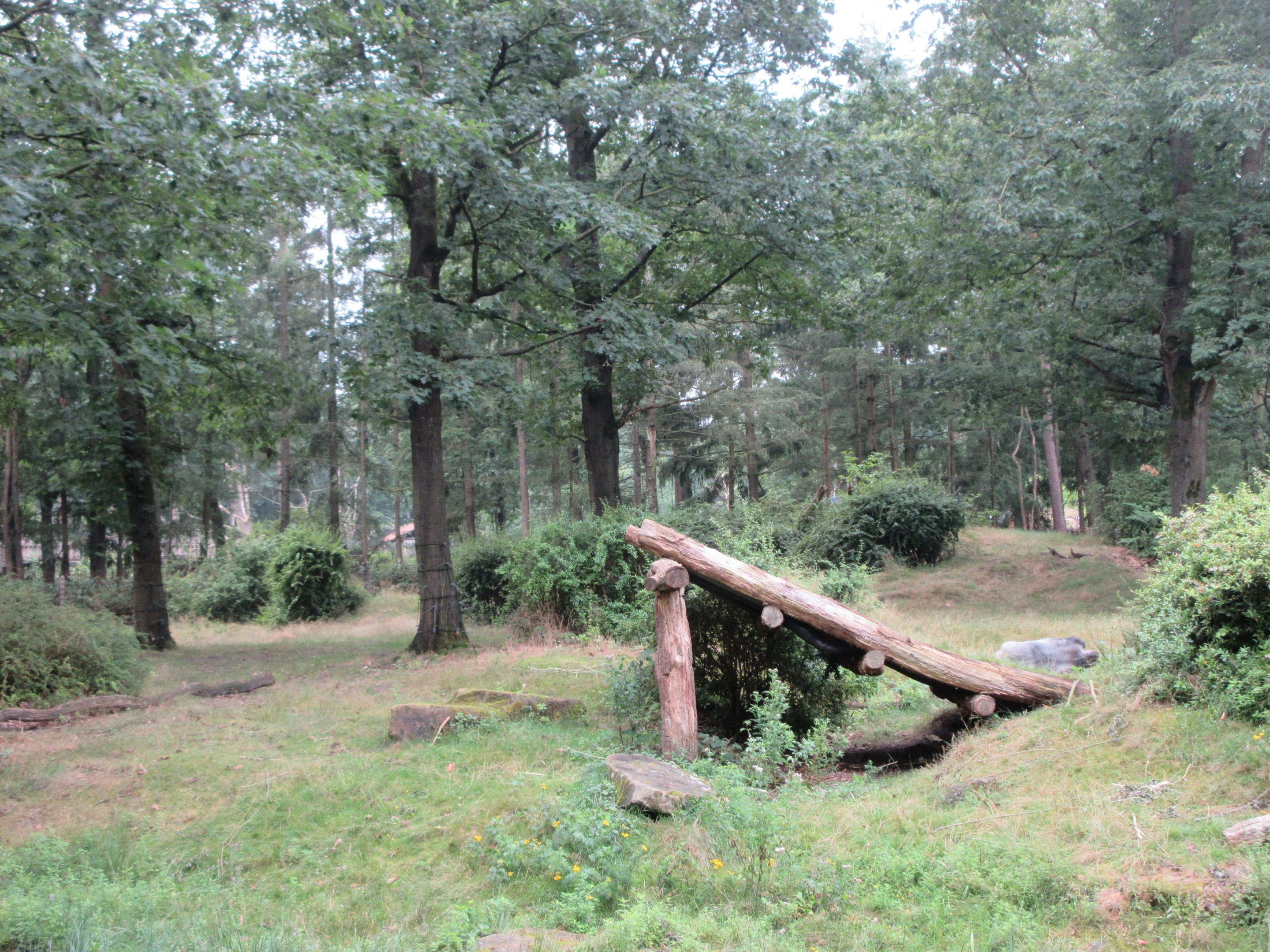 2.5-acre Lowland Gorilla Exhibit