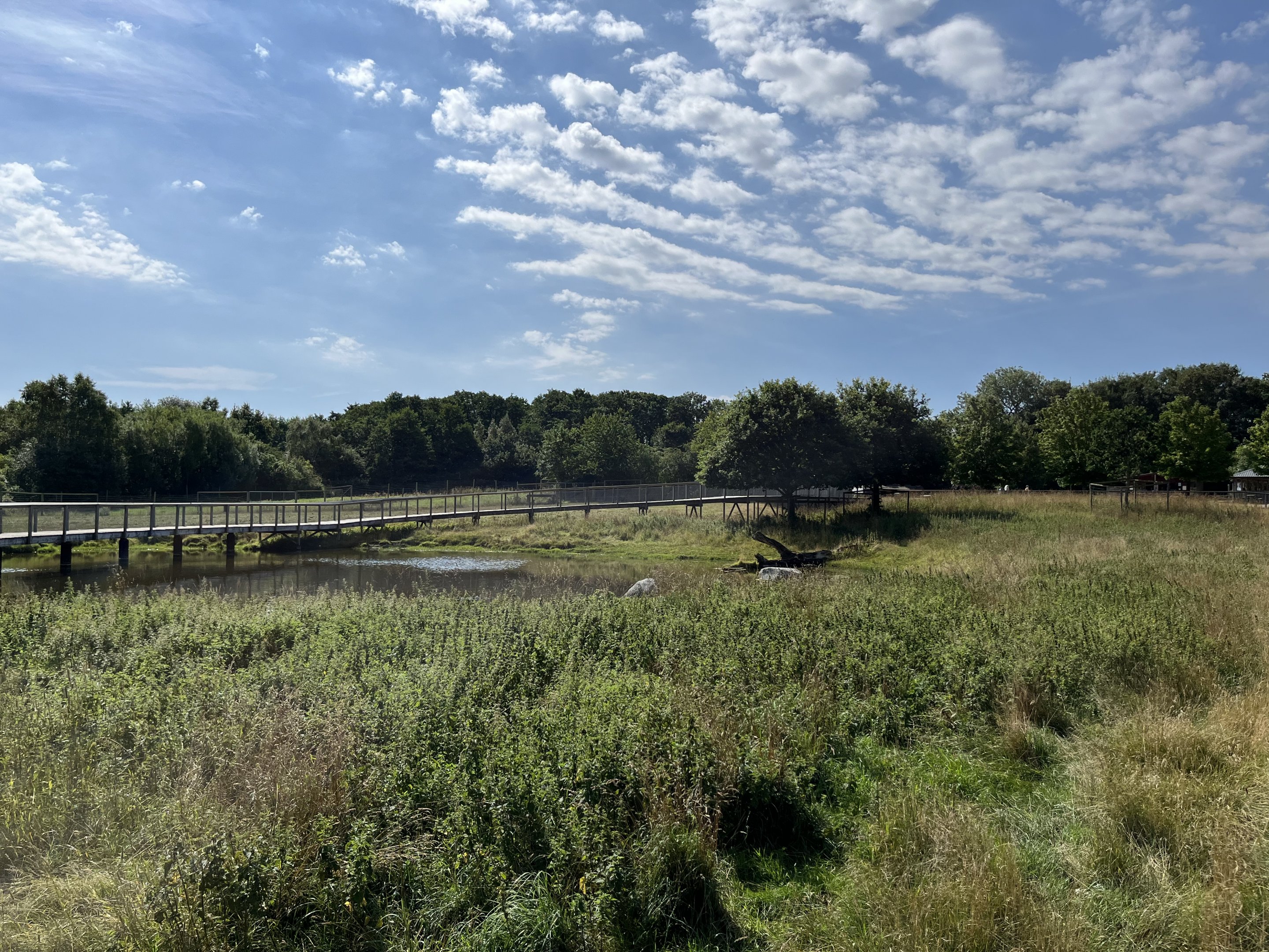 2.5 Acre Moose Exhibit