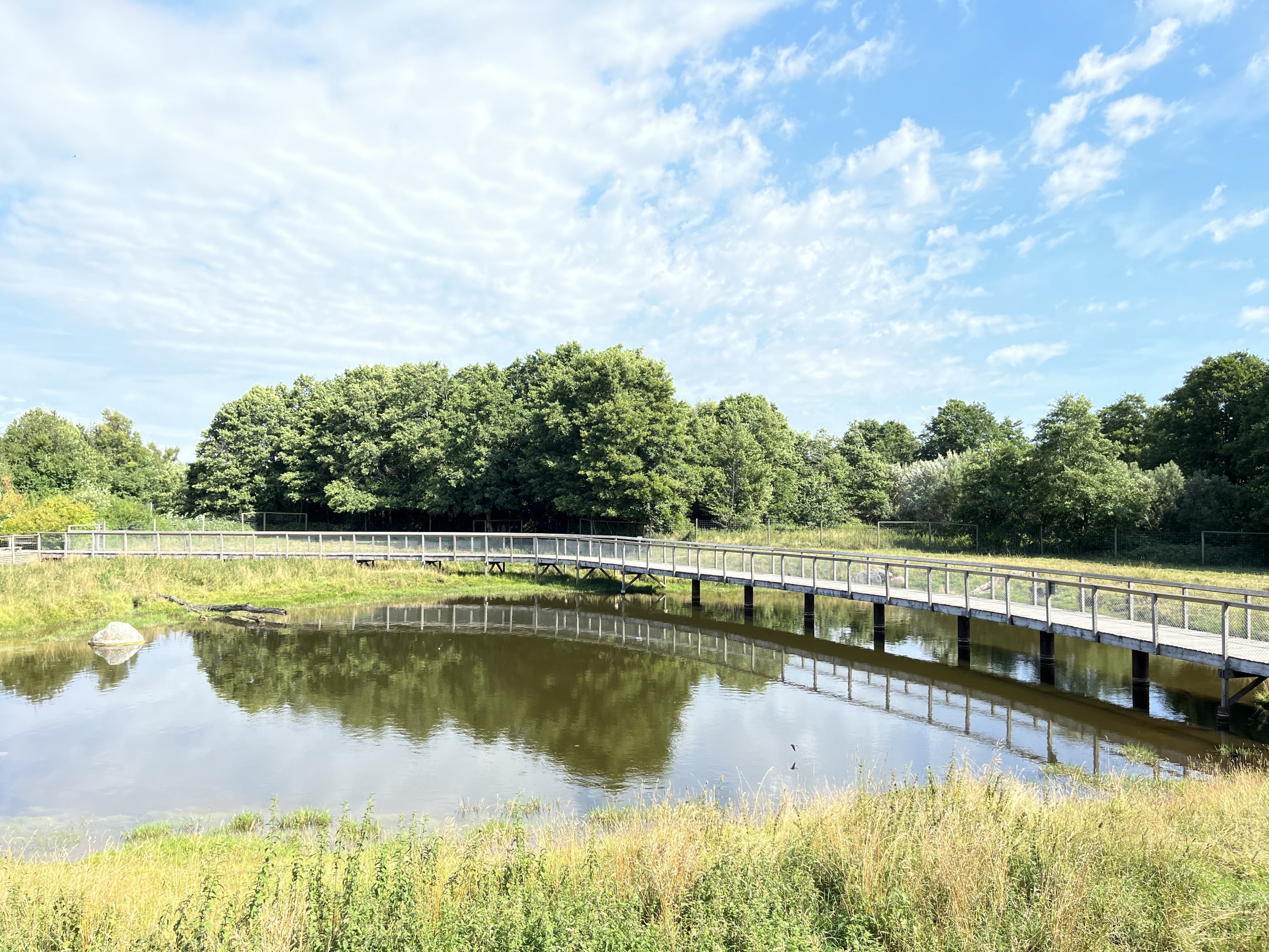 2.5 Acre Moose Exhibit