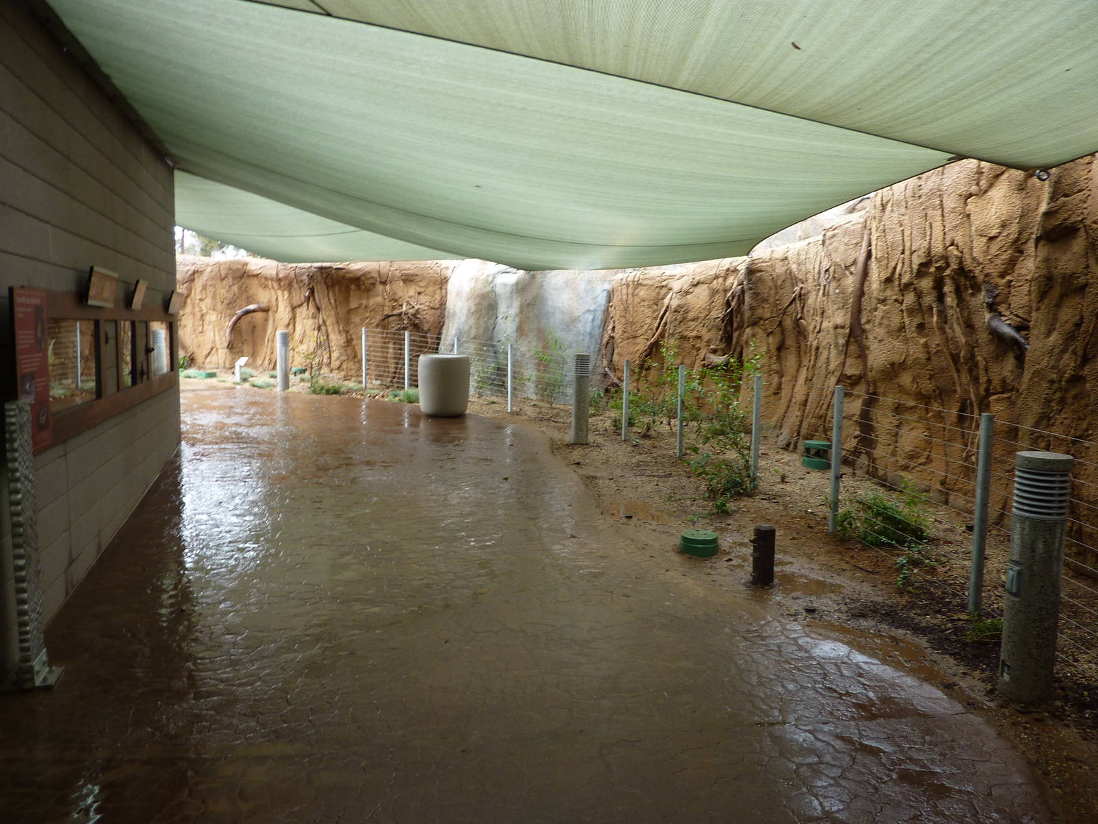 2/6/10 - EO - Insect Area