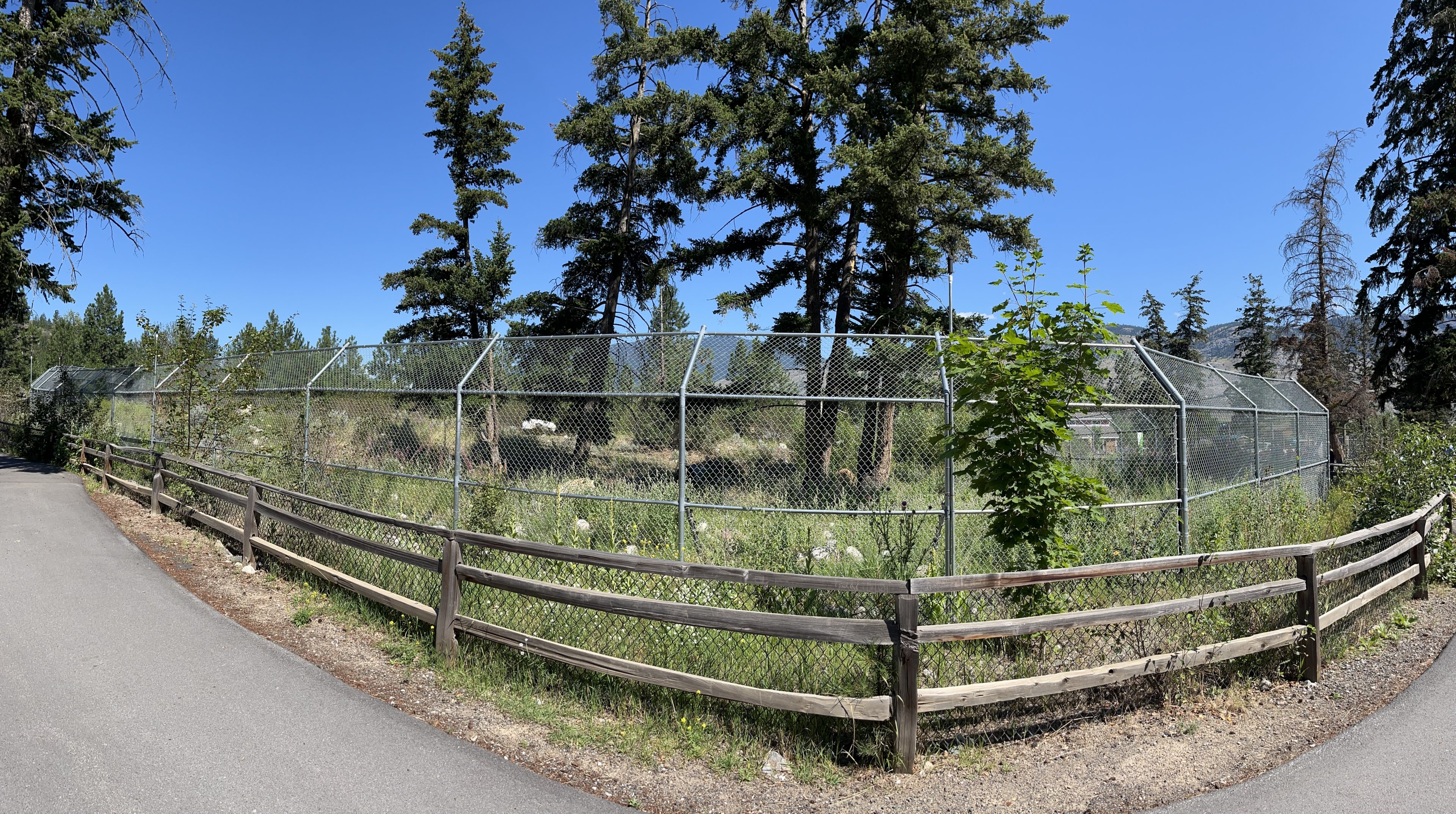 2.7 Acre Black/Kermode Bear Exhibit
